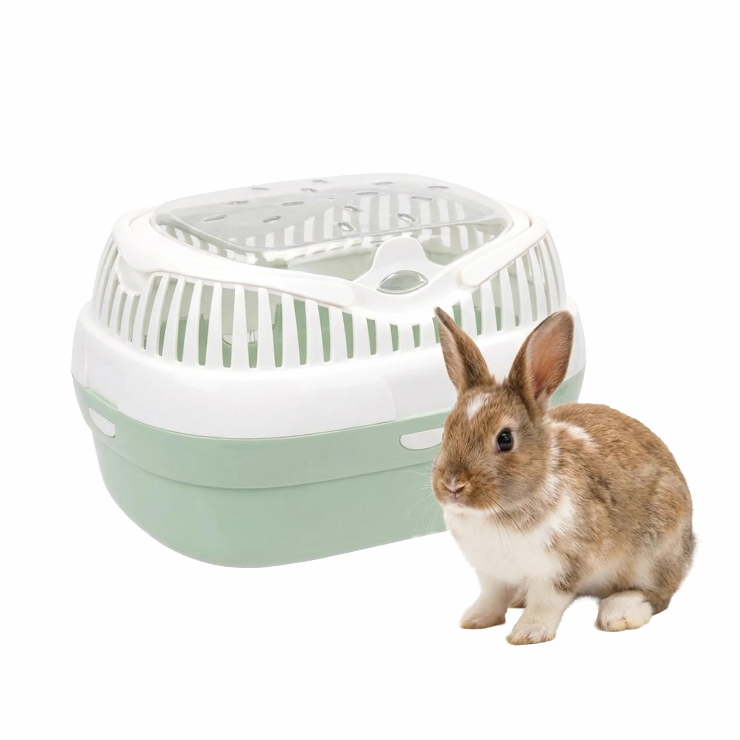 Ferplast Trasportín para Conejos, Conejillos de Indias y Ratones ALADINO Large Jaula de Viaje para roedores y Conejos, Plástico, Rejillas de ventilación, Cómoda asa, 36 x 26 x h 23 cm Verde