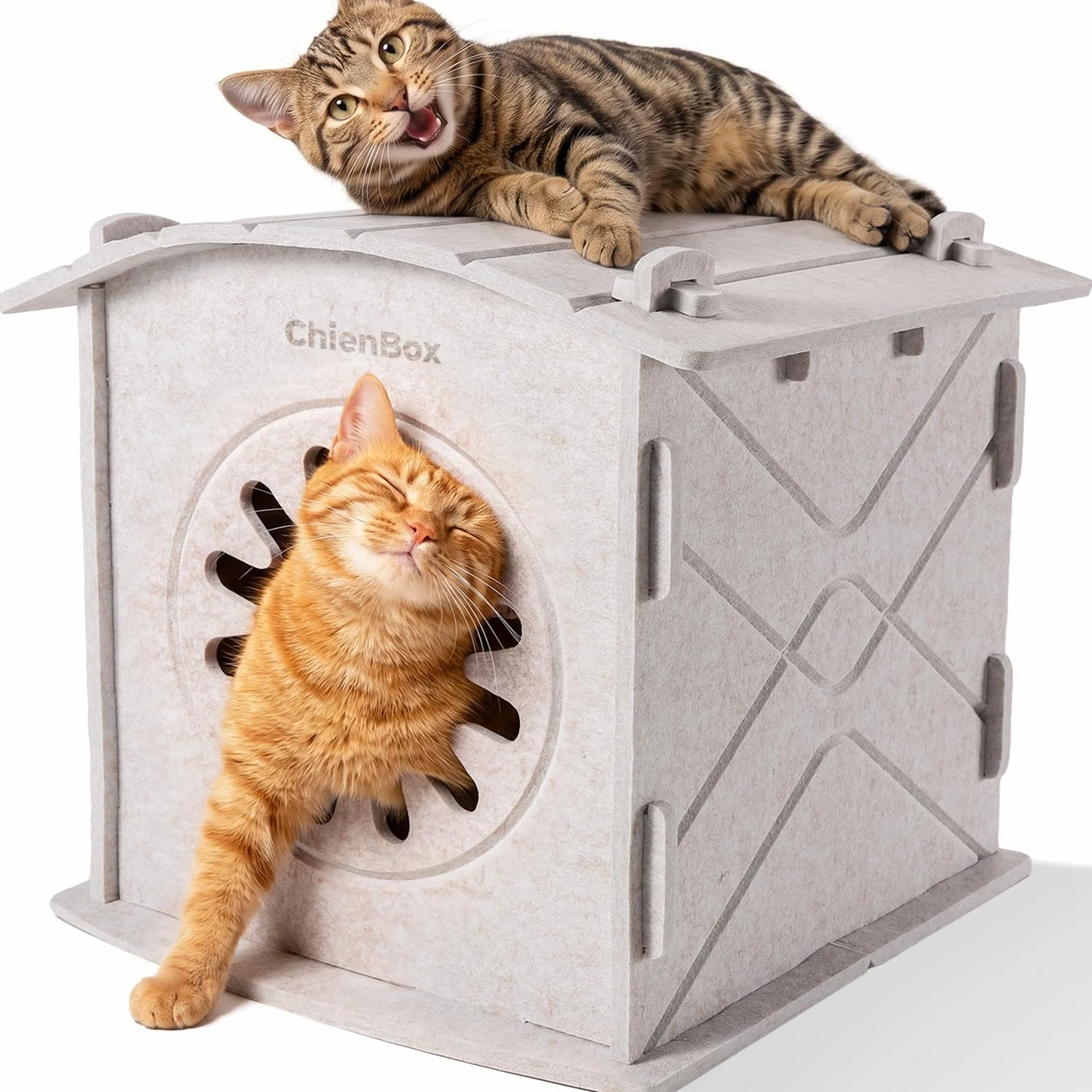 Casa para Gatos Interior de Fieltro: Cálida Cueva para Gatos Invierno, Casa Gatos Robusta, Casa Gato con Entrada Rascadora, Cama para Gatos Fácil de Limpiar y Montar, Cueva Gato 38x36x38cm