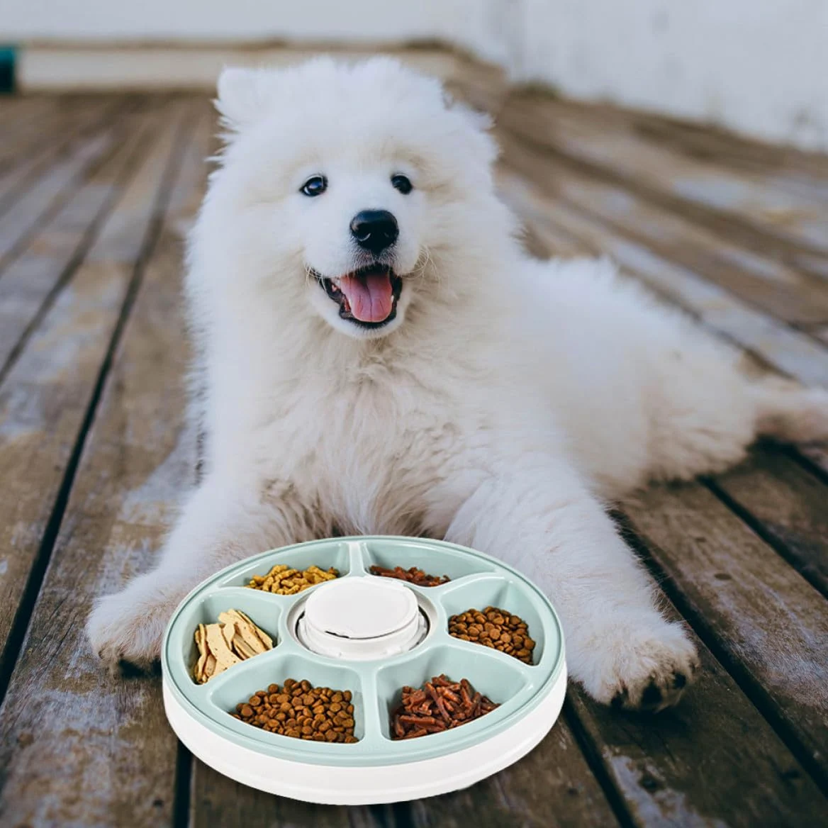 Abaodam Comedero Automático Temporizado para Mascotas 6 Porciones Tazón Comida Verde y Base Antideslizante para Perros y Gatos Uso Diario Programable