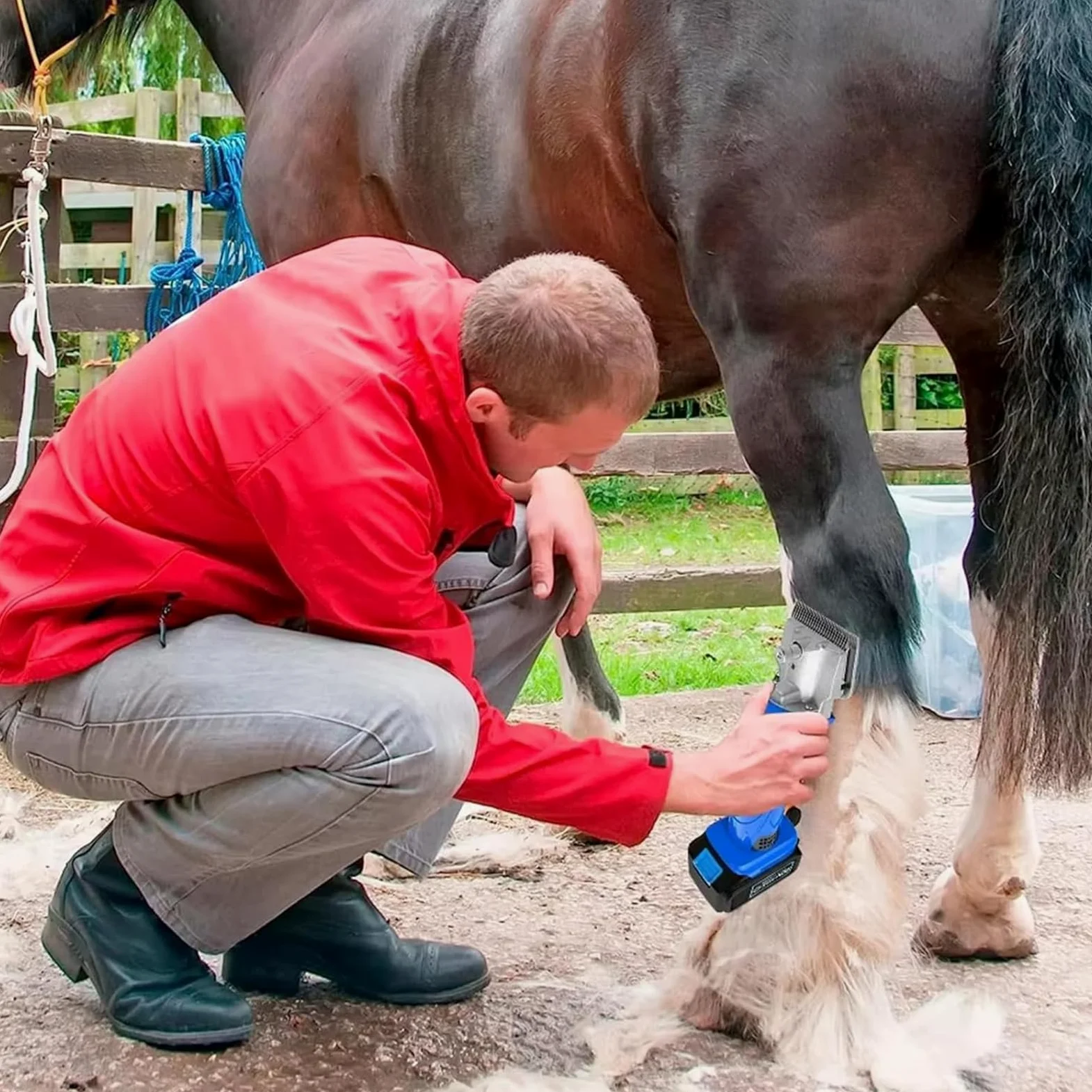 Esquiladora Inalámbrica para Caballos 500W, Cortadora Eléctrica de Grooming con 2 Baterías, Ajustable en 6 Velocidades, Cuchillas Desmontables de Acero al Carbono, para Caballos y Ponis de Pelo Grueso