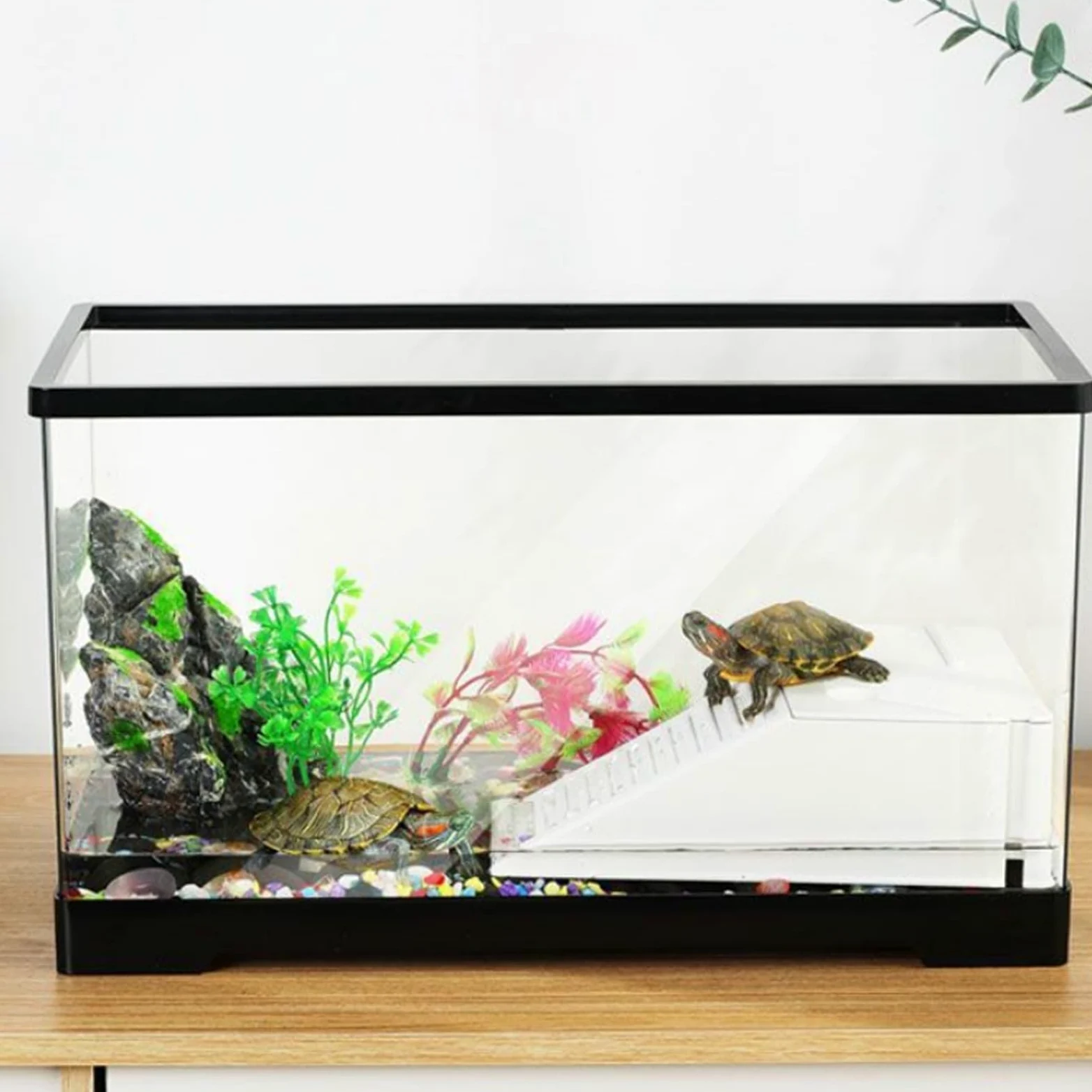 Tanque de Reptiles Caja de alimentación casera for Tortugas con separación en seco y húmedo Plataforma Secado al Sol Fácil Montaje