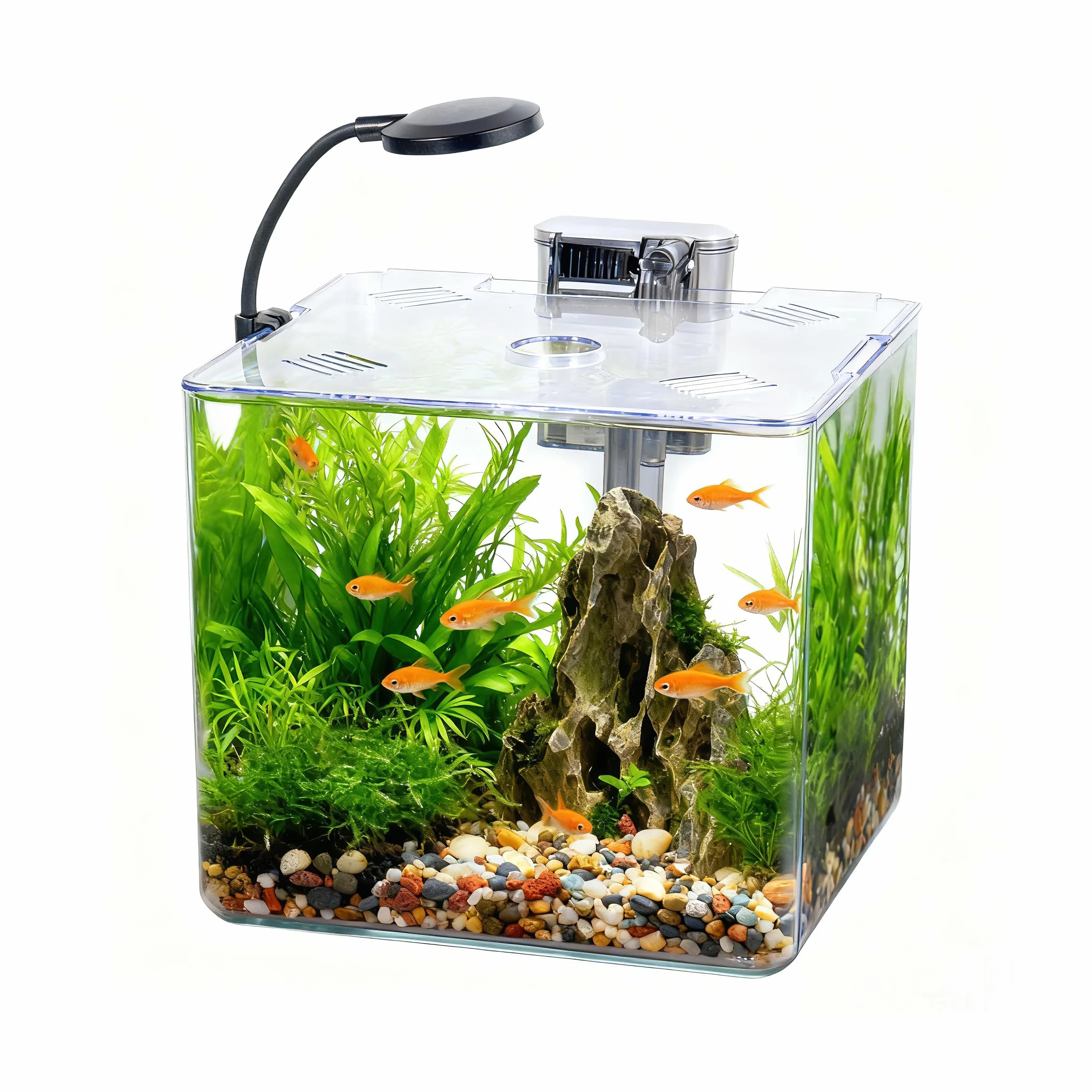 Set de acuario de 5 l para principiantes, 18 x 18 x 18 cm, mini acuario de plástico con lámpara LED y filtro USB, 5 l