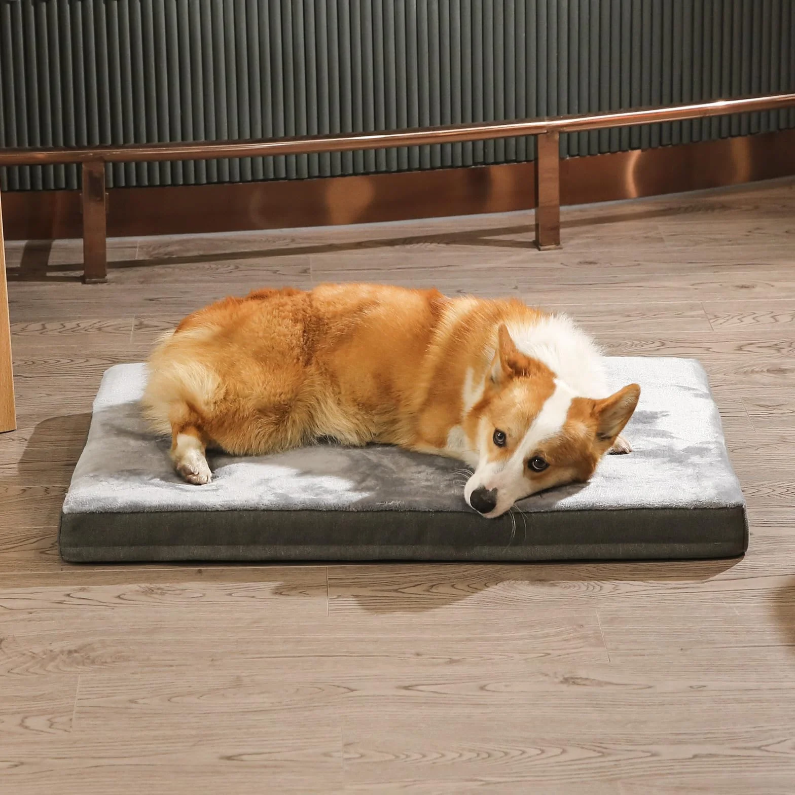 Amazon Basics Colchón grande para perros y mascotas, espuma viscoelástica de gel para soporte, funda extraíble y lavable, gris, 89 x 56 x 8 cm (L x W x H)