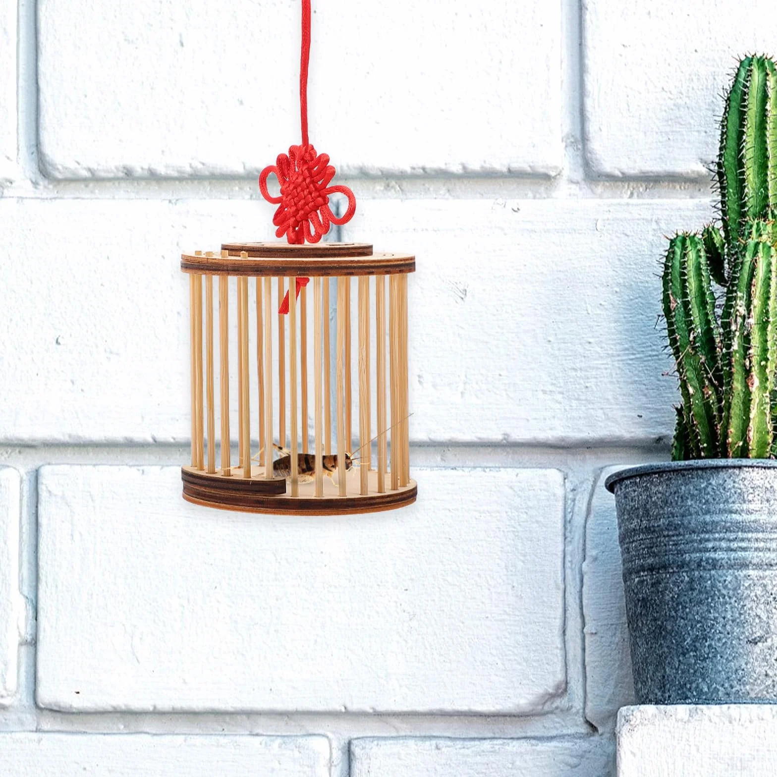 TOYANDONA Jaula de Madera para Grillos y Transporte Ligero y Estable para Mascotas Insectos para Aficionados la Exploración Natural