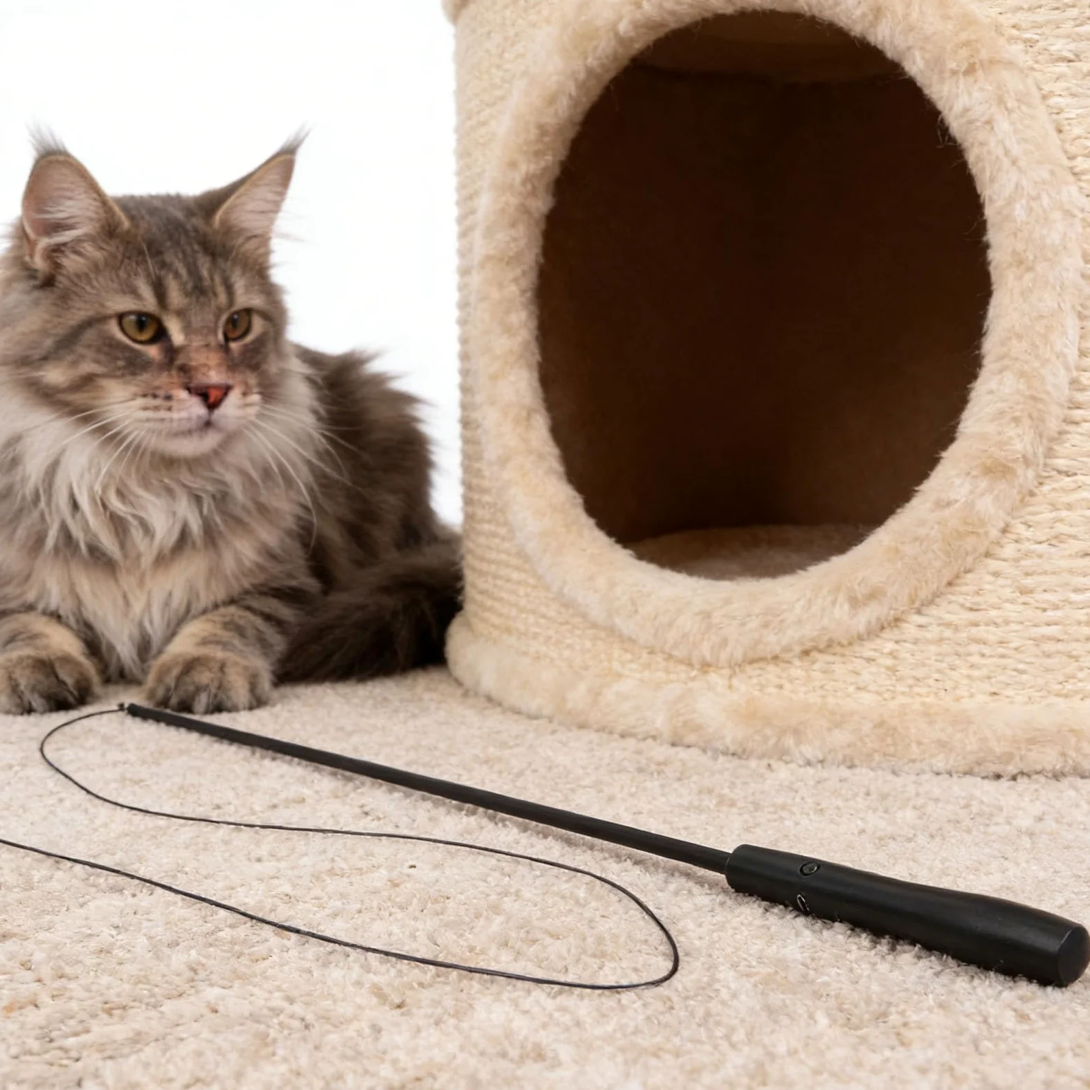 HEEPDD Juguete LED para Caña de Pescar para Gatos, Luz Interactiva 2 en 1 y Juguete Retráctil para Gatos, Caña de Pescar Recargable por USB, Varita para Duradera y Flexible,