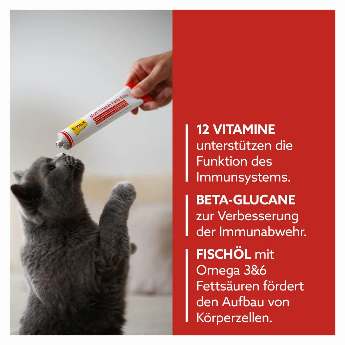 GimCat Multi-Vitamin Extra, pasta multivitaminas - Snack para gatos, con beta-glucano y omega 3 & 6 para una protección celular saludable - 1 tubo (1 x 200 g)