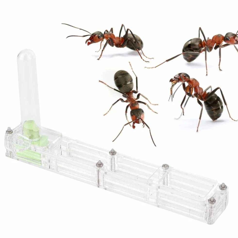 Casa de cría de Hormigas de acrílico, Caja de cría de Insectos Transparente Caja de exhibición Nest Formicarium Caja de alimentación de Hormigas con Torre de Agua hidratante(Transparente)