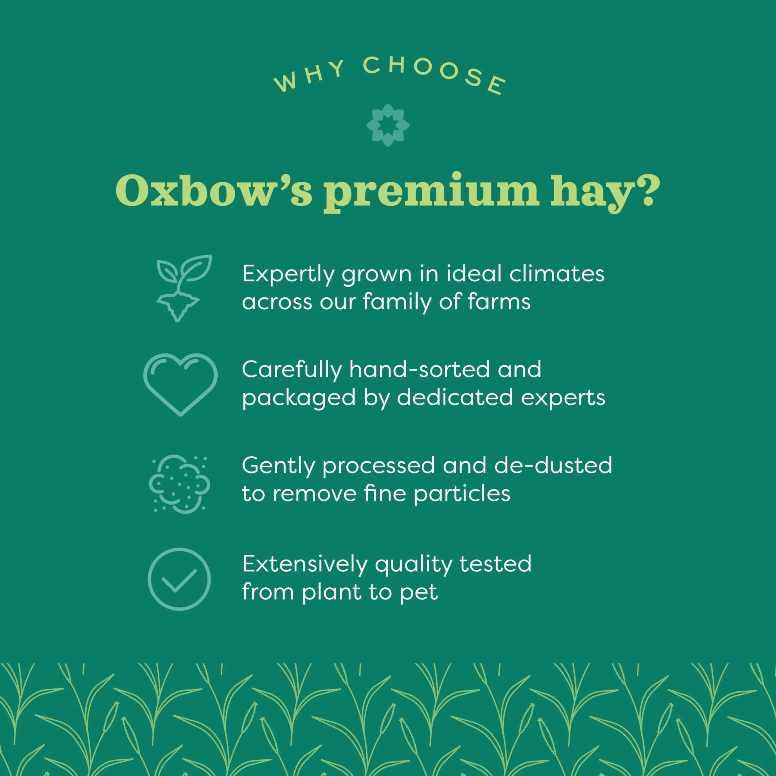 Petlife Oxbow Western Timothy Hay for Small Pet, 1.1 Kg