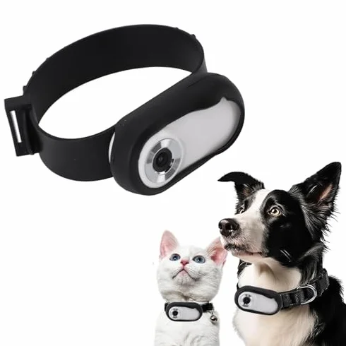 Cámara para Collar de Mascotas HD 1080P, Pantalla LCD de 0,96 Pulgadas, Vídeo de 5 Minutos, para Gatos y Perros, Material ABS