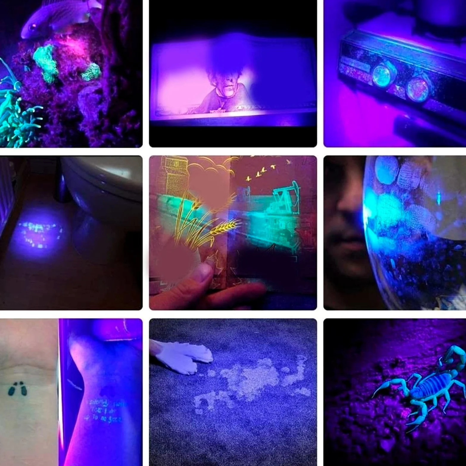 Linterna De Luz Negra Recargable De 80 W con LED De 365 NM, Ideal para Detección De Orina De Mascotas Y Exploración De Minerales