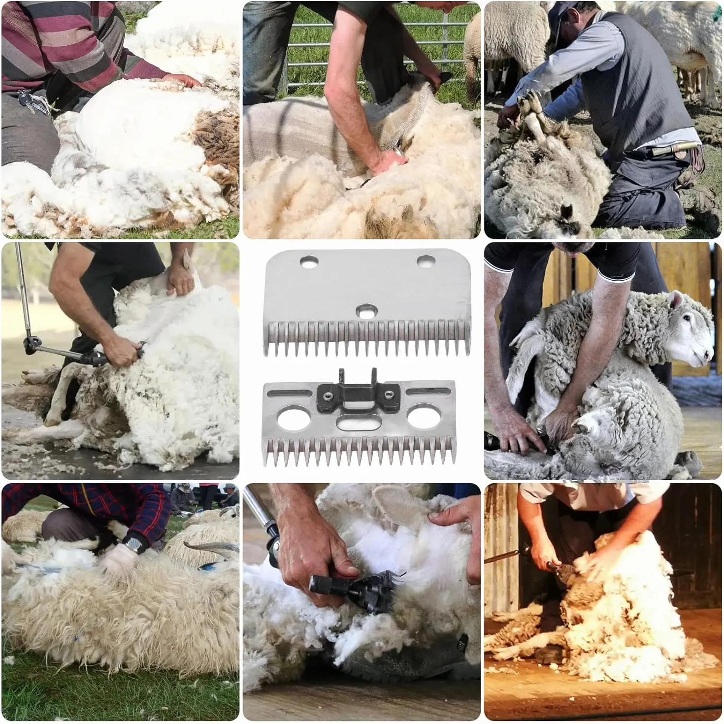Fyearfly Cuchillas De Esquila De Ovejas, 21 Dientes El Cuidado De Caballos Cuchilla De Tijeras Eléctricas, Cortadoras De Ganado Para Mascotas, Cuchillas De Repuesto Para Ganado Equino, Cabra, Corderos