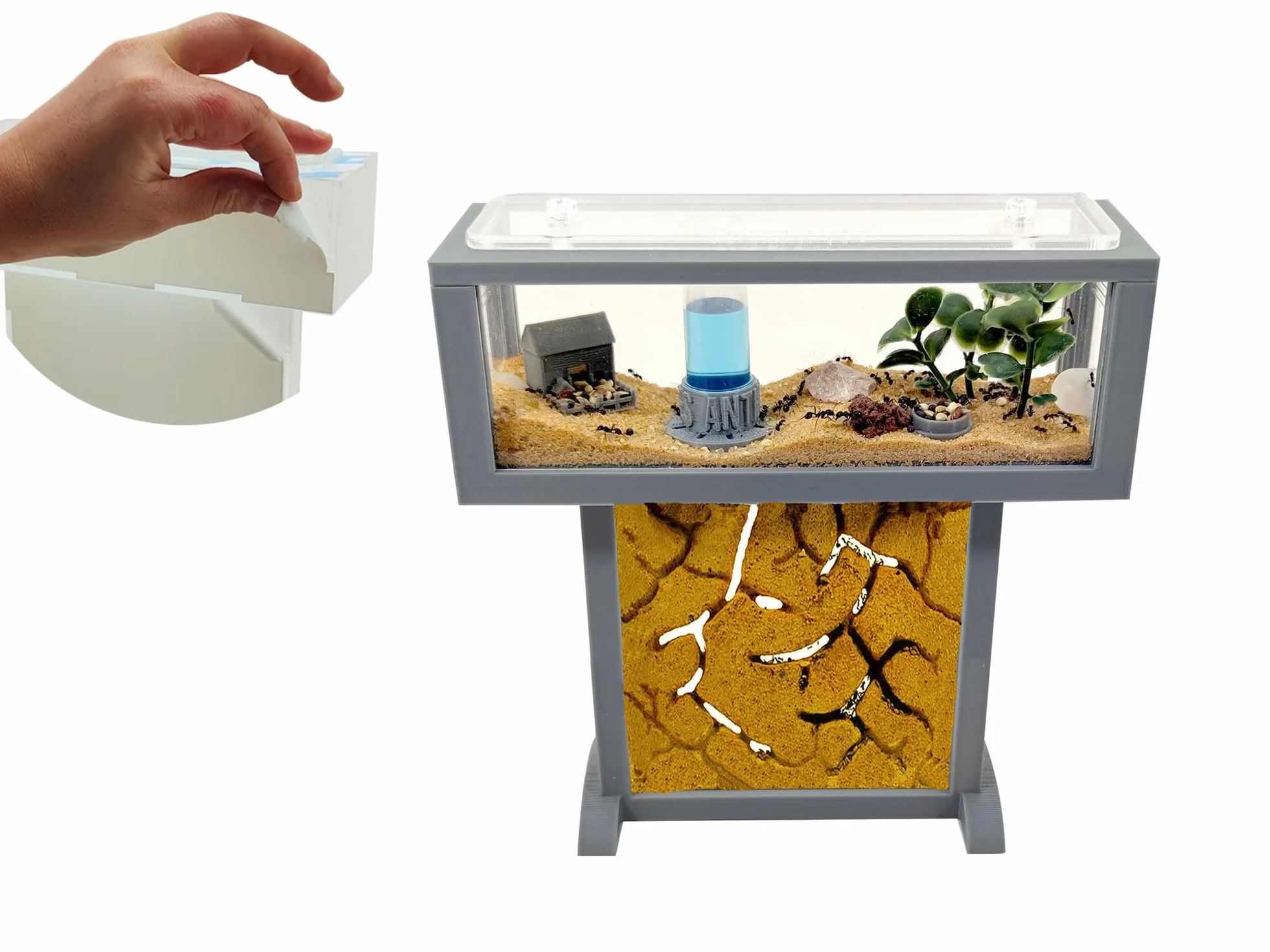 Hormiguero Kit- T- Mini de Arena Natural 15x5x16 - Hormigas Gratis Incluidas┃de 20-30 Hormigas