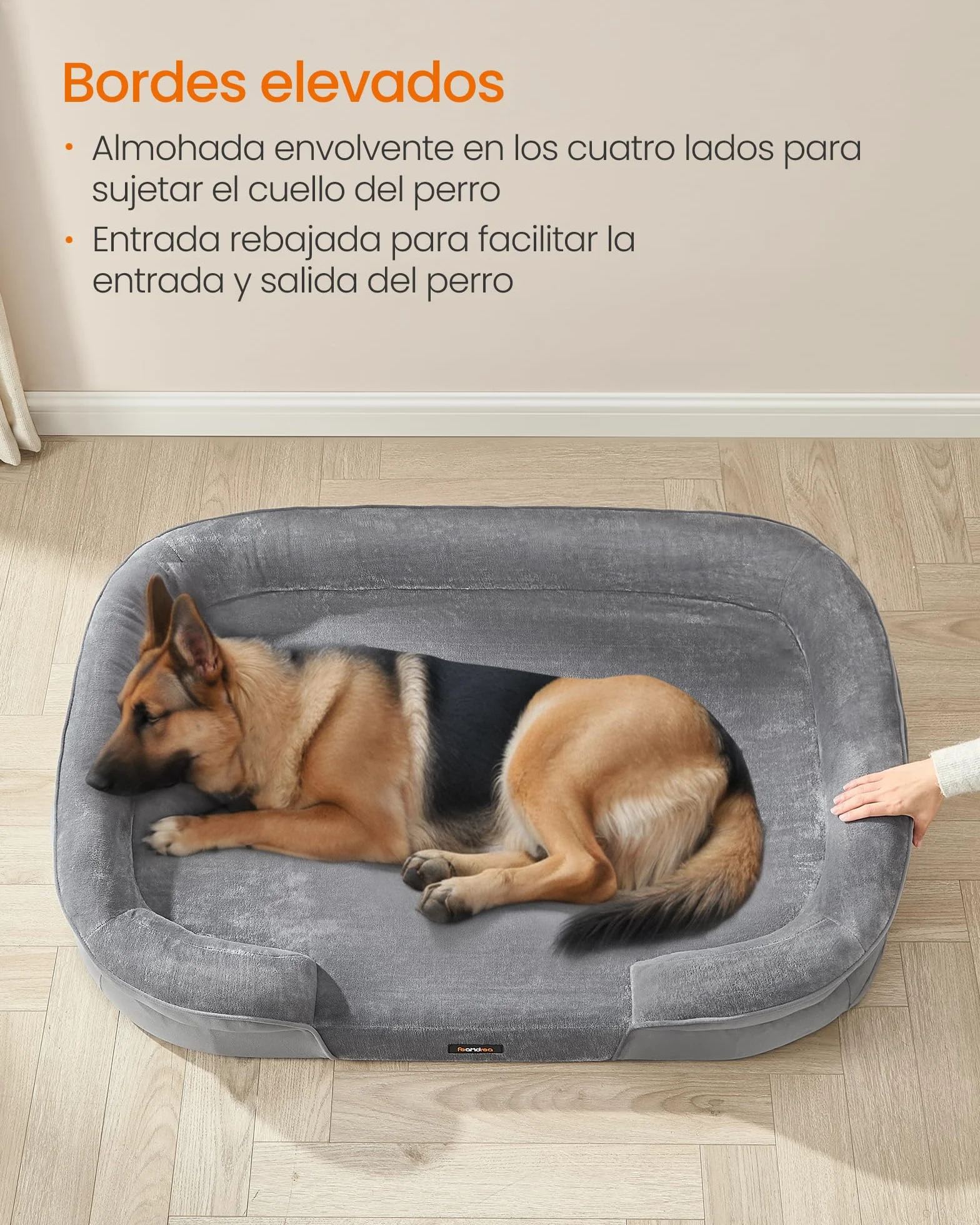 Feandrea Cama para Perros Extra Grandes, 122 x 85 x 18 cm, Ortopédica, Espuma de Nido de Abeja, Forro Repelente al Agua, Bordes Elevados, Funda Extraíble y Lavable, Gris Claro PGW284G01