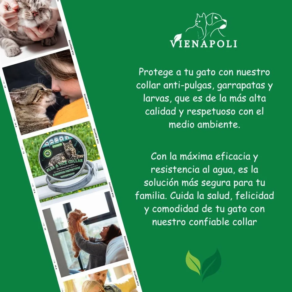 Collar antipulgas y garrapatas para Gatos, Resistente al Aqua, protección Activa de hasta 8 Meses, 33 centimetros, para qualquier tamaño de Gato