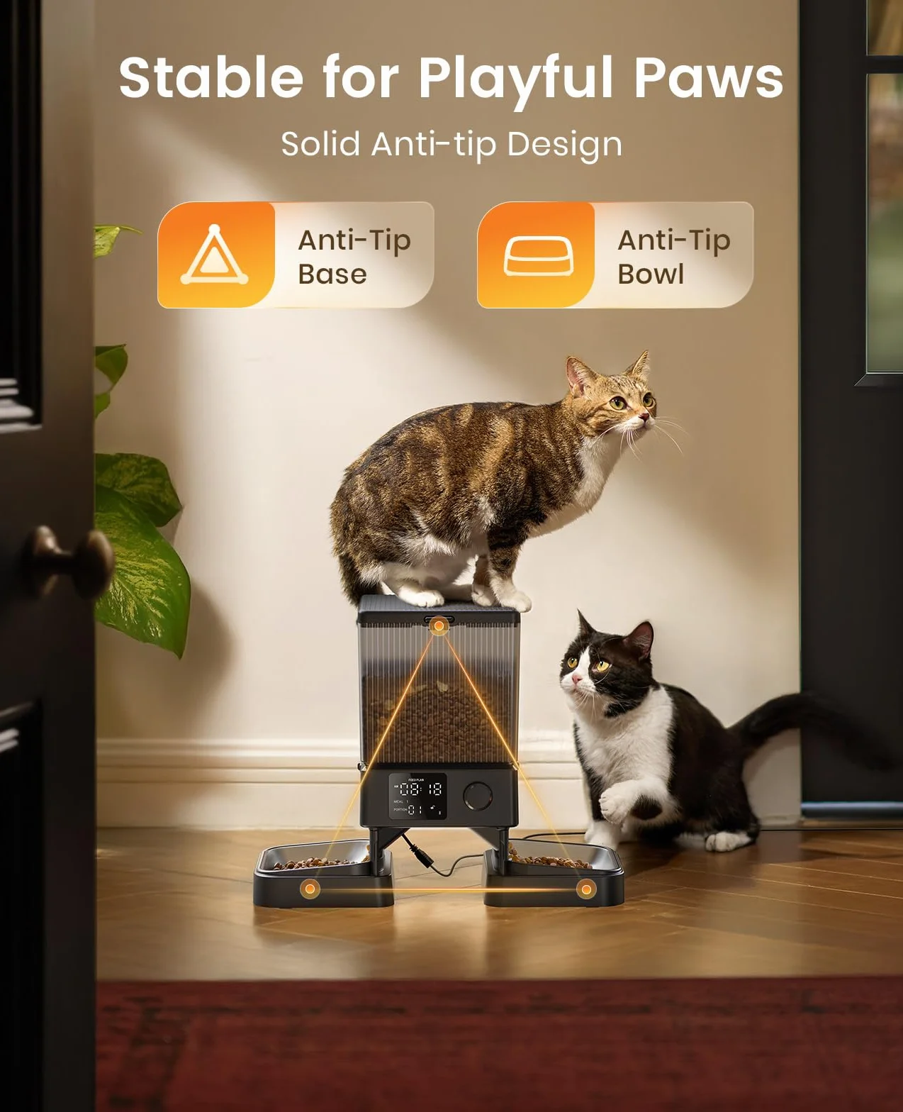 oneisall 5L Comedero automático para Gatos (WiFi)