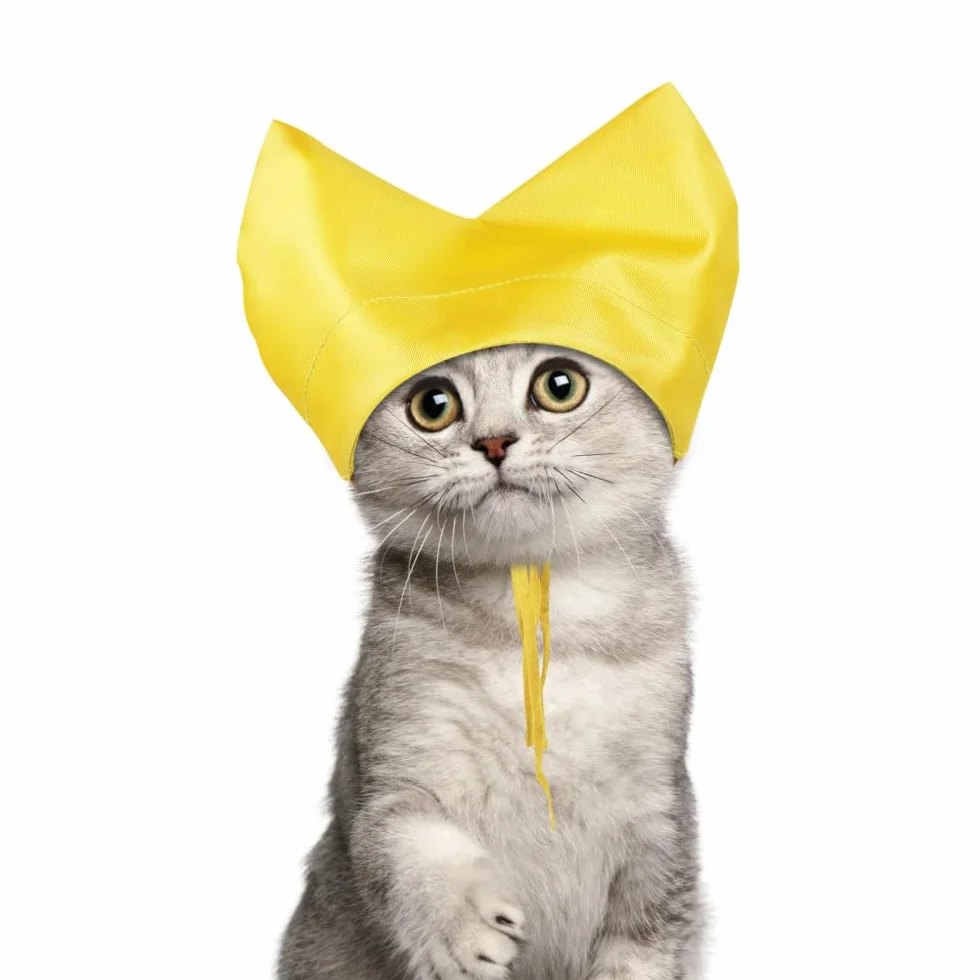 Gorros de ducha para gatos, gorro de baño impermeable para gatitos, protección para los oídos para gatos, gorro para mascotas, protector de orejas, gorro de ducha para gatos y perros pequeños, baño