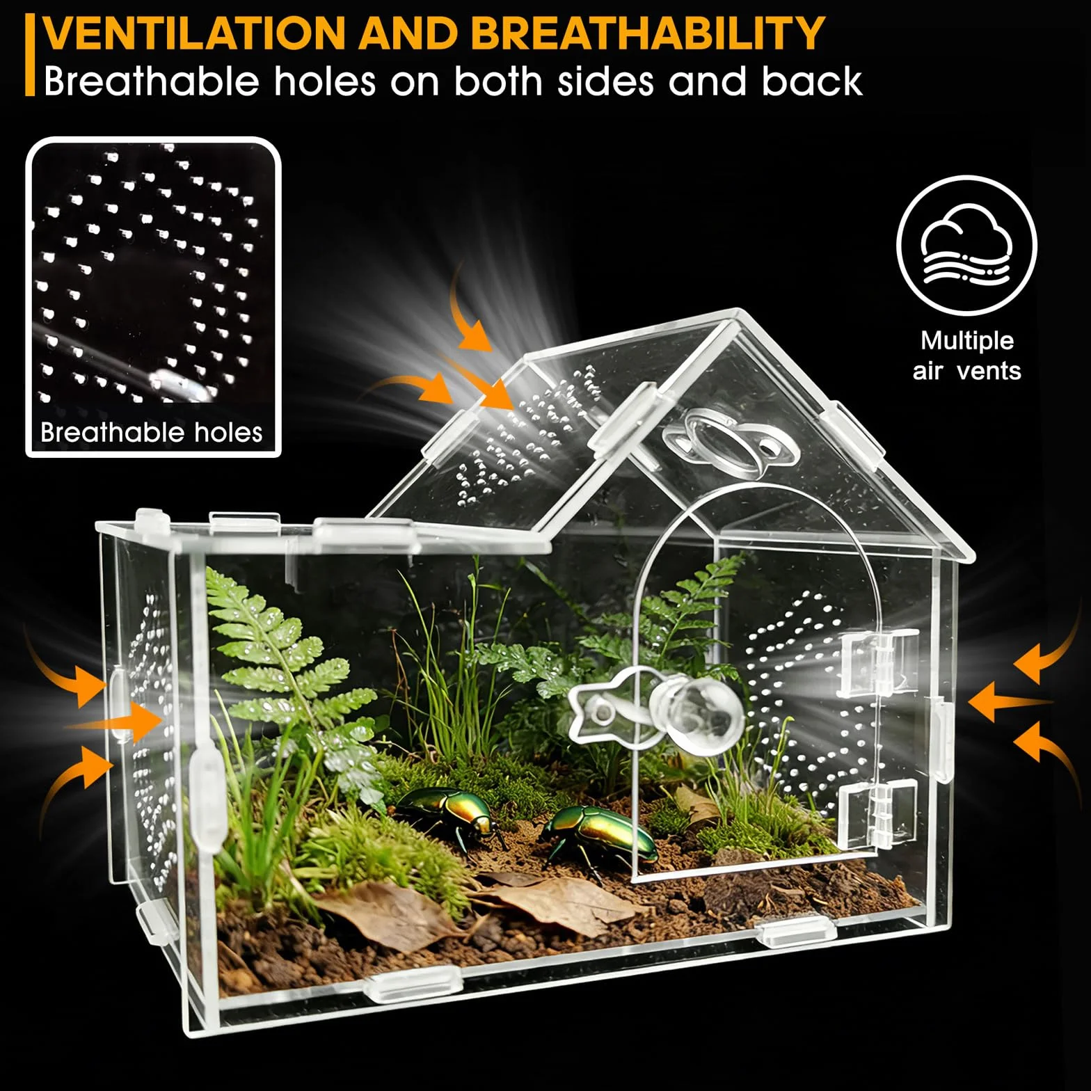 Caja de acrílico con cerradura magnética, caja de terrario transparente ventilada para tarántulas, gecos, mantis, cangrejos ermitaños, caracoles y otras mascotas pequeñas (7.9 x 4 x 6