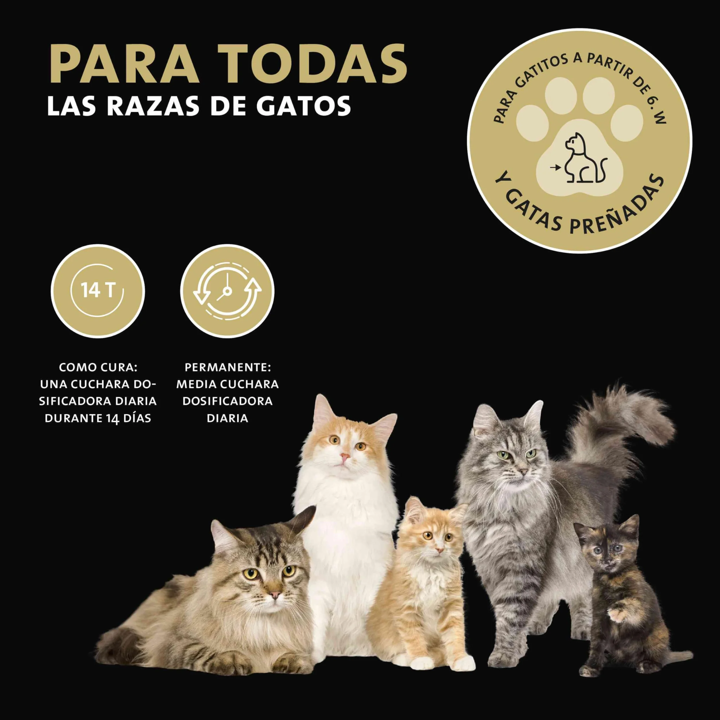 Peticare Desparasitante Antiparasitario para Gatos | Polvo de Hierbas | Remedio 100% Natural con Curcuma y Tomillo contra Gusanos Intestinales, Anquilostomas, Higiene Intestinal | petCat Health 3605