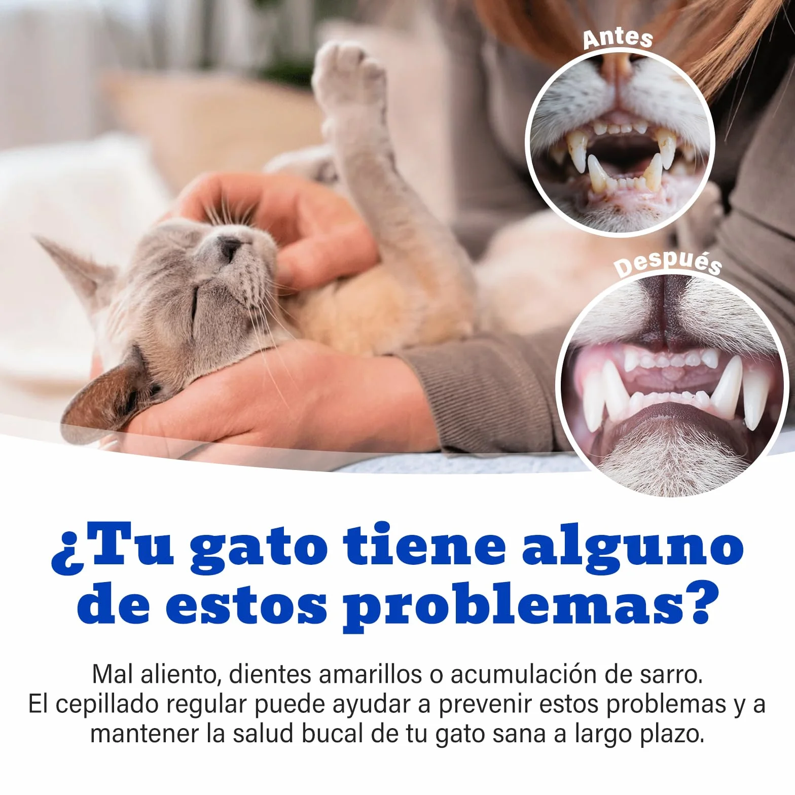 Juego de Cuidado Dental para Gatos, Pasta Dentífrica Sabor Atún 30 g, Incluye 2 Cepillos dientes gato, Fórmula Suave para el Cuidado Dental y un Aliento Fresco