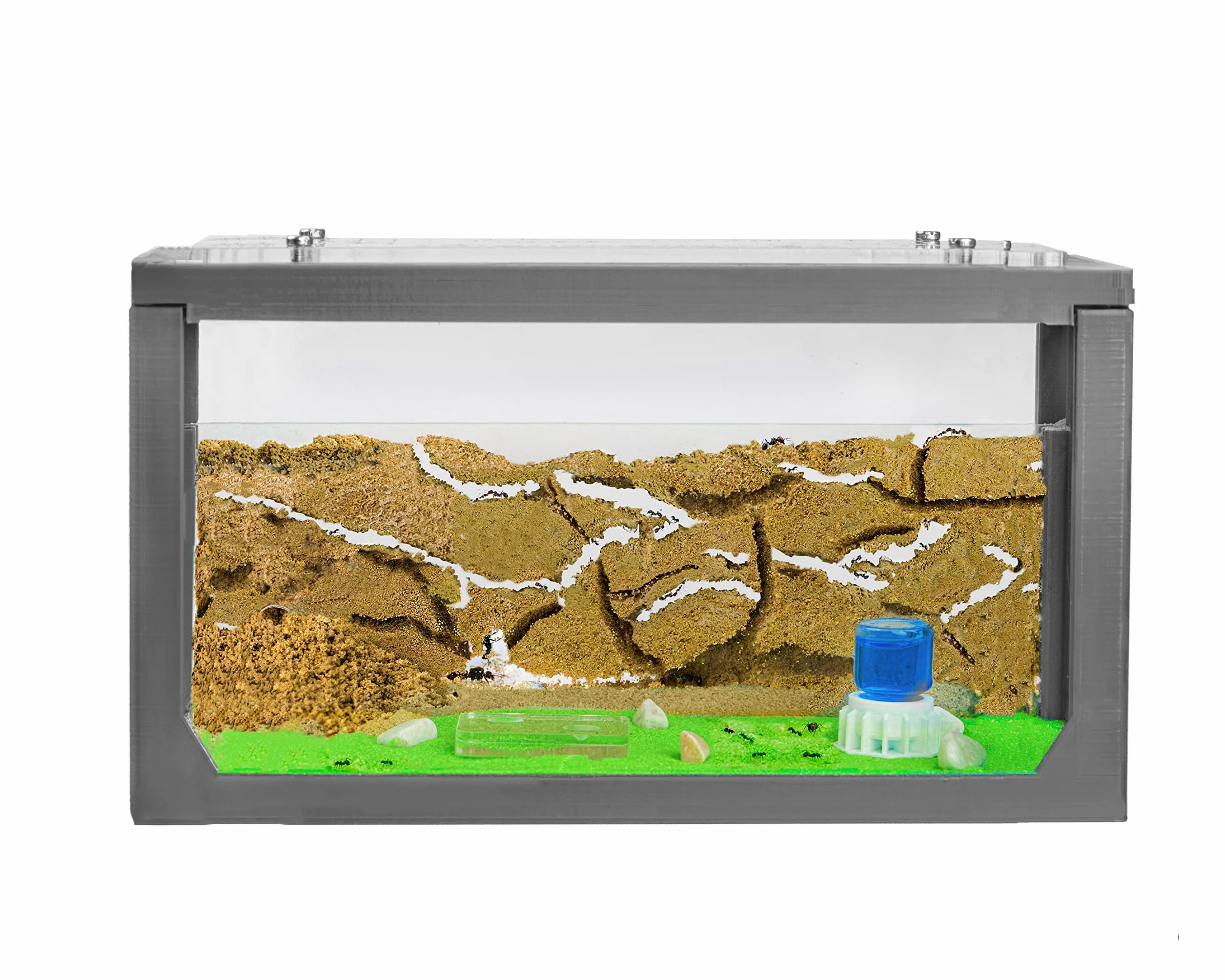 AntHouse.es - Hormiguero de Arena 3D | Kit de Inicio 20x10x10 cm | Granja de Hormigas Color Blanco | Hormigas Incluidas
