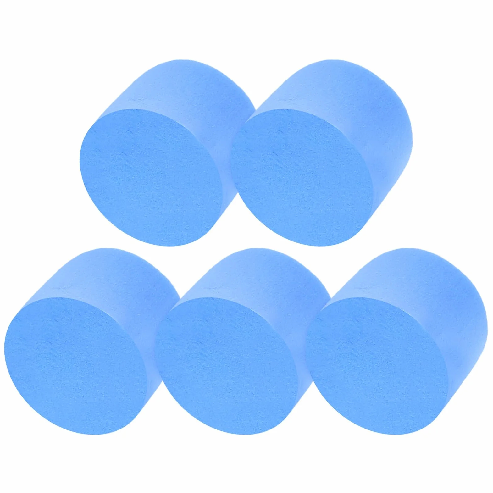 5 Esponjas de Espuma Azules para Tubos de Laboratorio, Suministros para Nidos de Insectos Ambiente Cómodo y Fácil de Usar en Aprendizaje Naturaleza