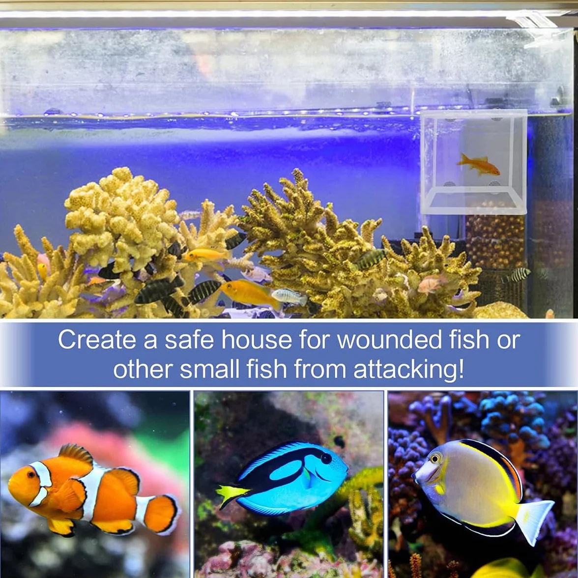 Incubadora De Peces De Acuario,Caja De Cría De Peces,Acuario Criador De Red,Incubador Separador Tanque,Aislamiento De Pece con Ventosas,Cría Pece para Proteger Bebés,para Camarones Incubadors,Kiuiom