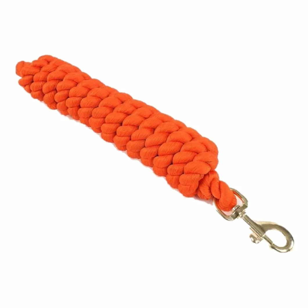 Shires Cuerda de plomo extra larga 440, Sky, 3 m
