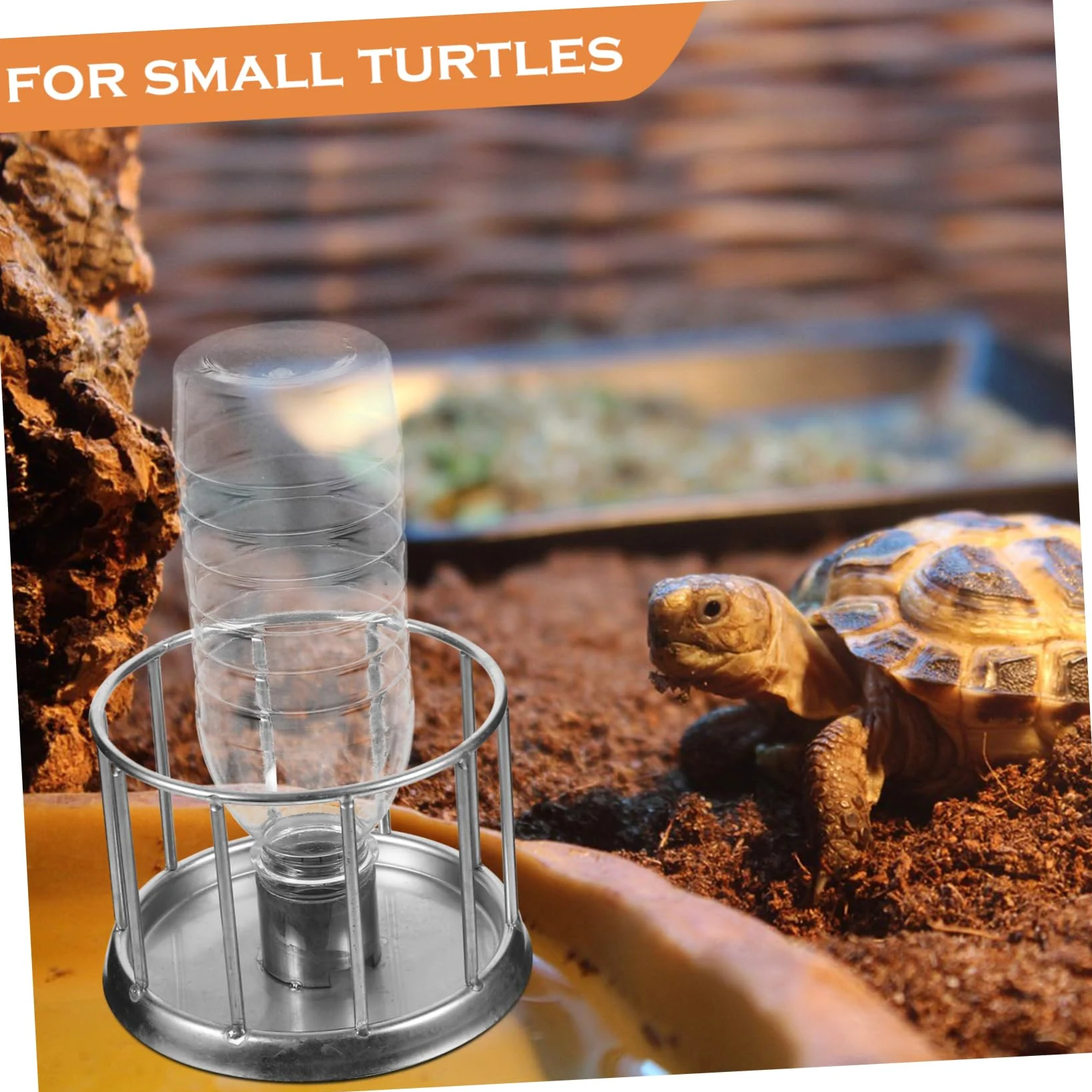 BESPORTBLE 5piezas Alimentador De Reptiles Inoxidable para Tortugas y Plato De Agua y Comida Accesorio para Terrario Diseño Antisalpicaduras y Conveniente