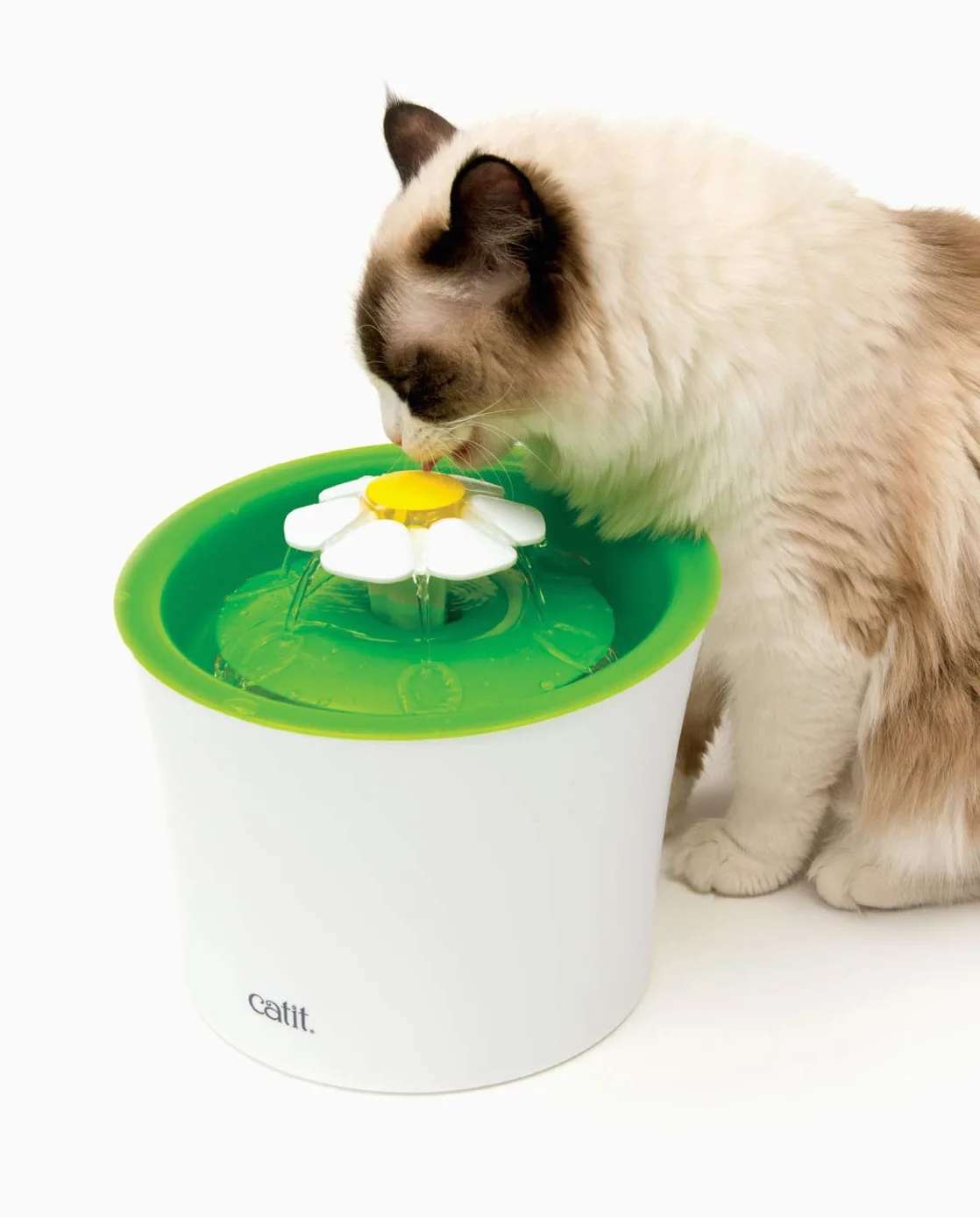 Catit 43742W Bebedero Fuente Flor 3, 3 L