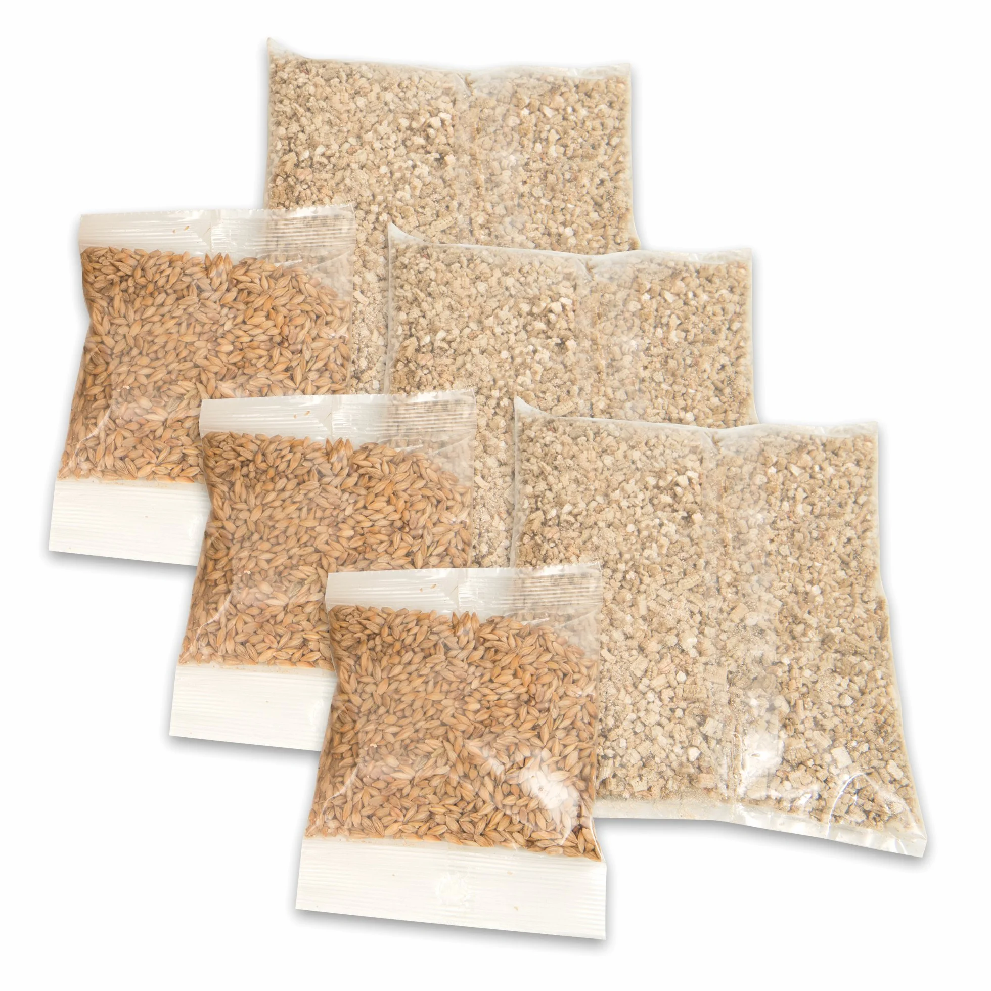 Cat Grass kit - 3 x Semillas y Vermiculita