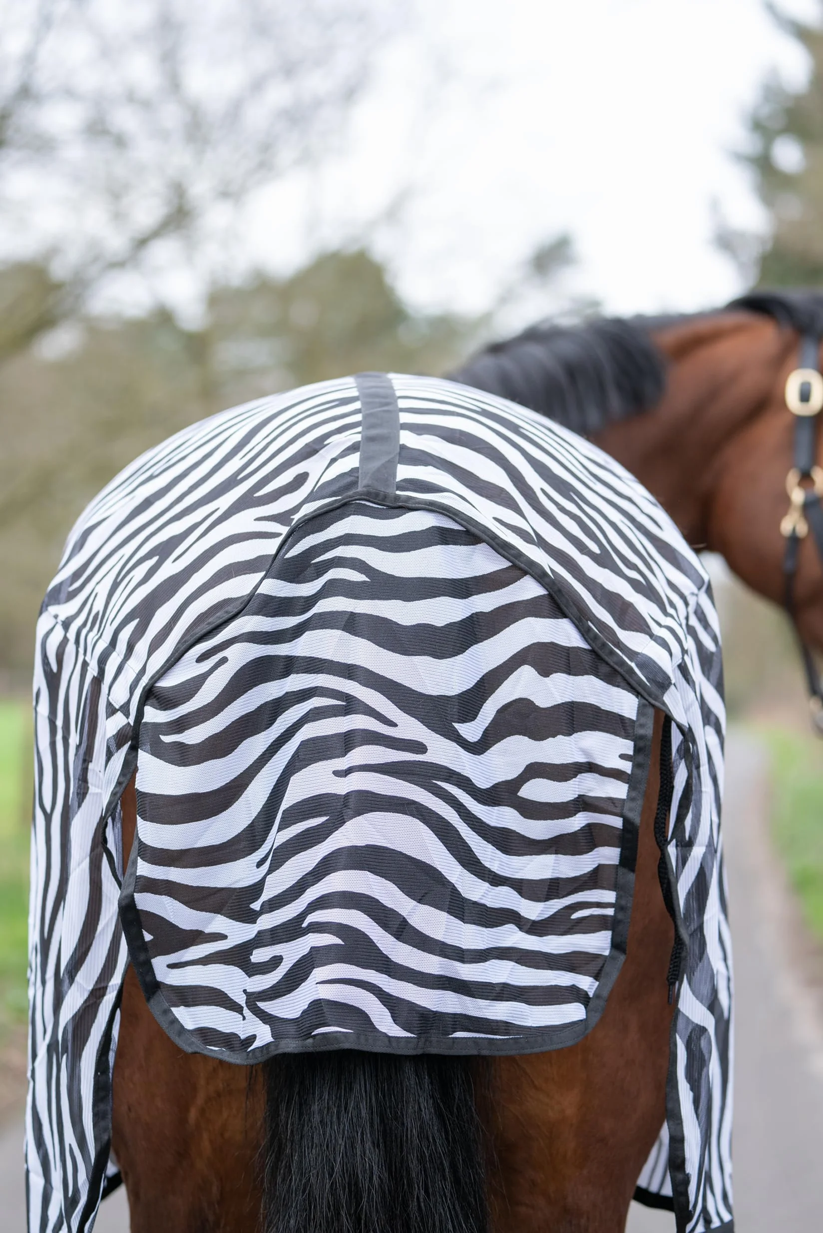 HKM Zebra Manta Anti-Moscas con cinturón Cruzado Blanco/Negro 125