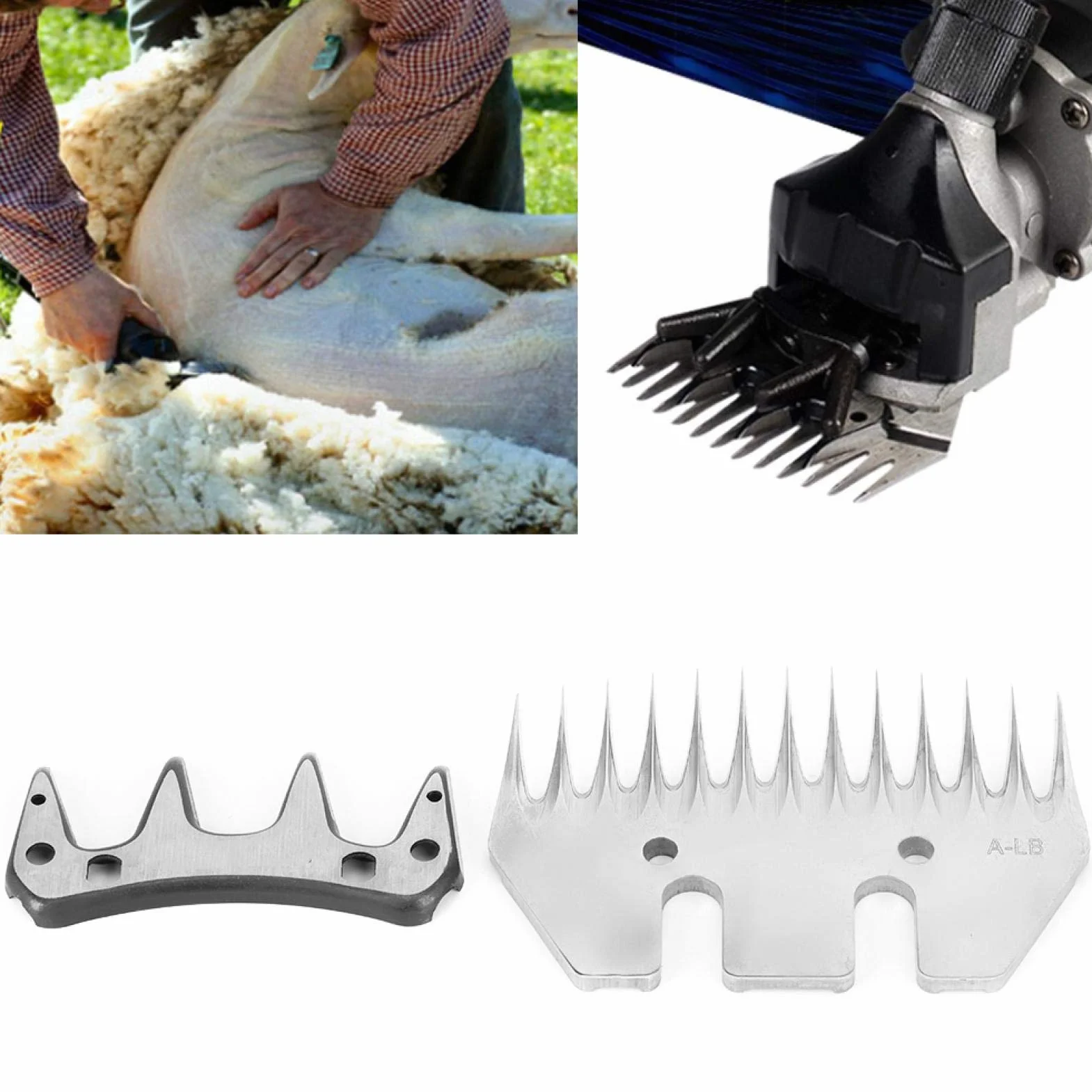 Cuchilla de podadoras de ovejas, reemplazo de Cortador de Corte de Acero Inoxidable(Hoja Recta de 13 Dientes)