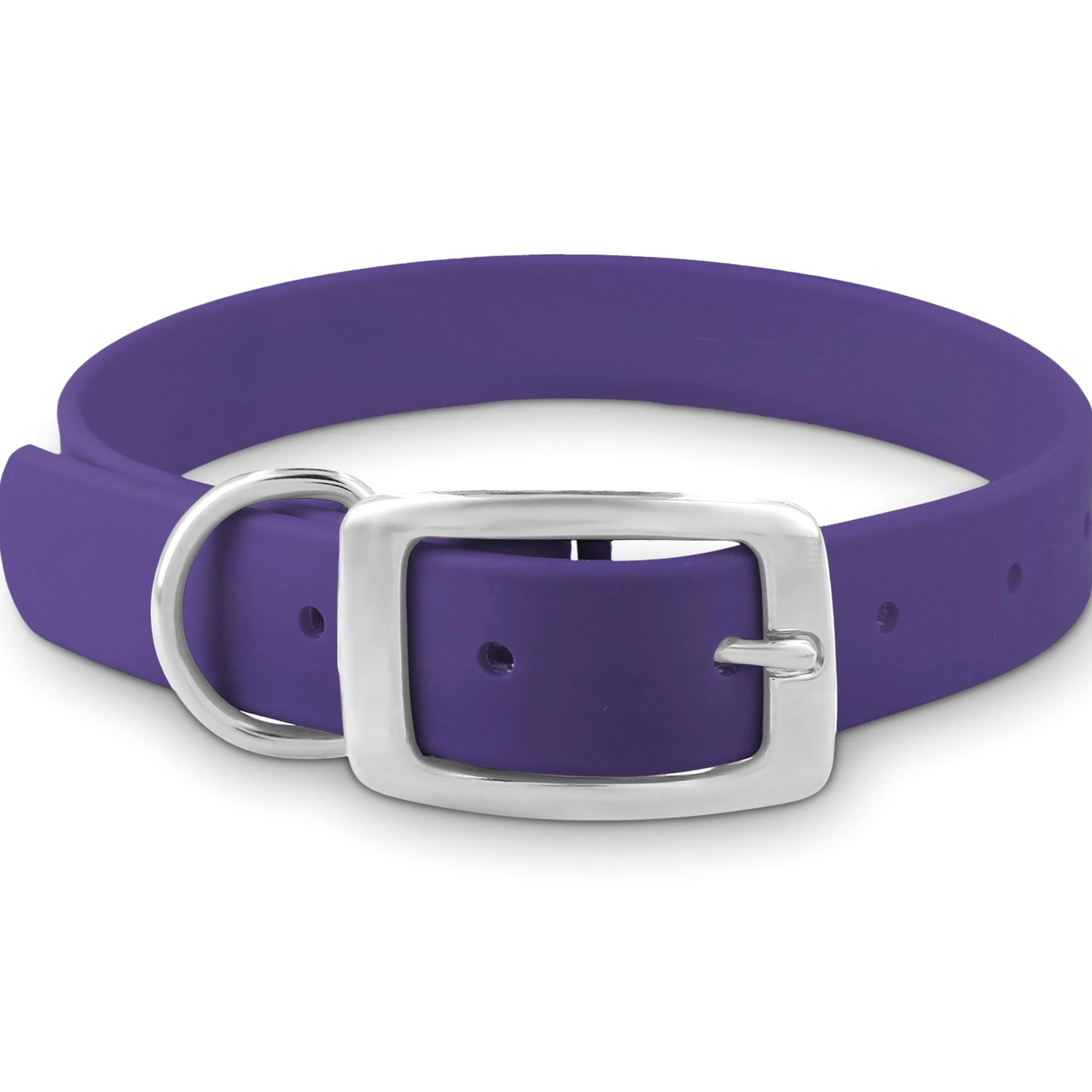 Regal Dog Products Collar de Perro Impermeable Morado - Correas revestidas de Vinilo de Ajuste Personalizado, Hebilla Doble y Anillo en D para Perros pequeños o Cachorros