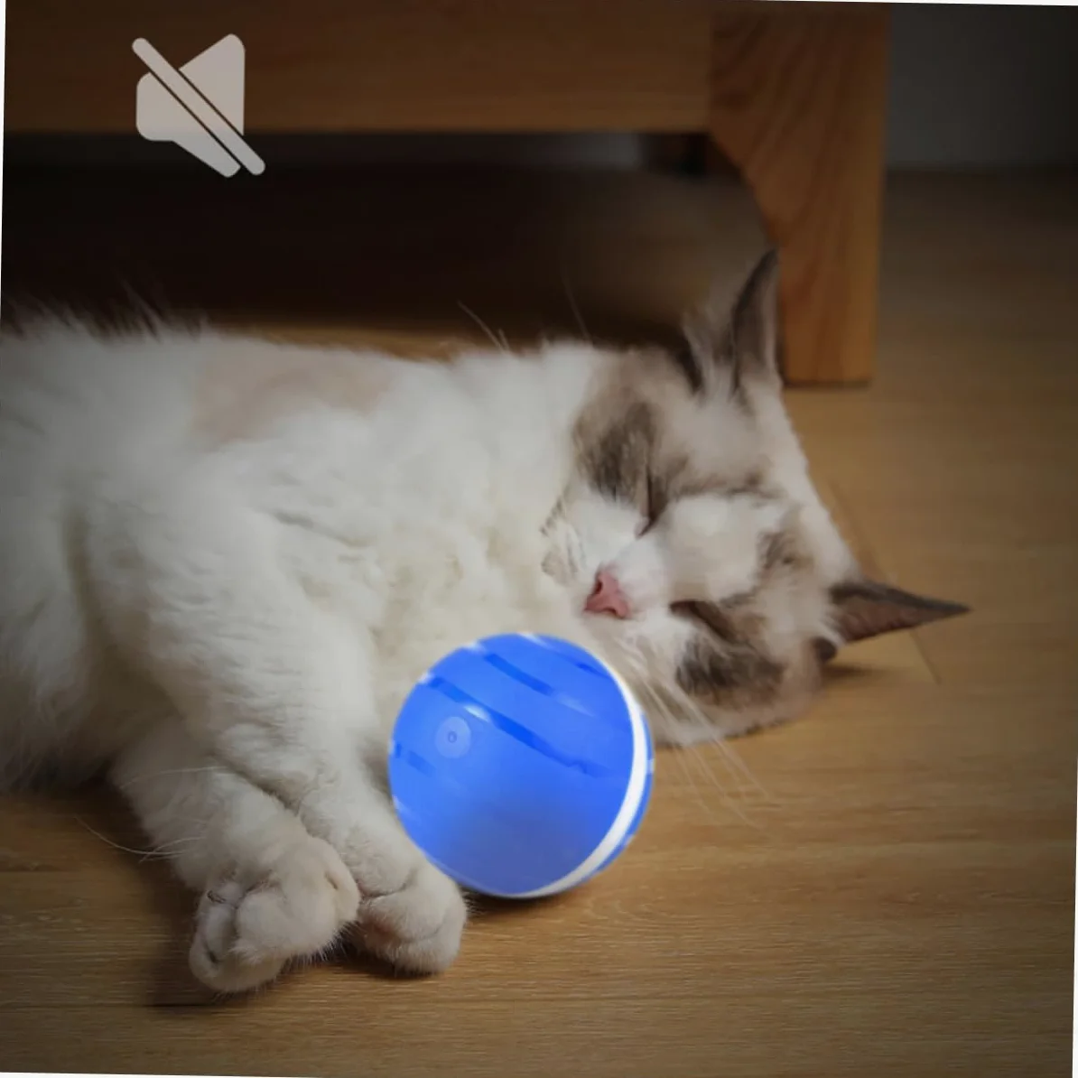 Happyyami 3 Piezas para Mascotas interactivos para pequeño para rodando