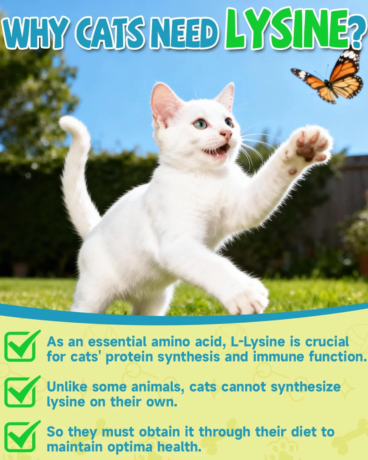 L-Lisina para Gatos - Gotas Lisina para Reforzar Sistema Inmunitario Gatos - Aliviar Alergias en Gatitos, Estornudos, Gripe Felina, Antibióticos para Gatitos con Vitaminas y Minerales, Calostro