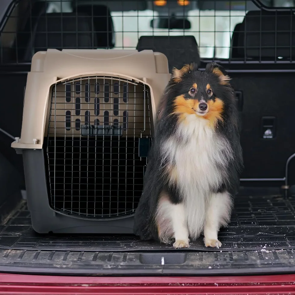 Petmate - Vari Kennel - Transportín para Mascotas - Transportín Robusto - Transportín ventilado - Fácil de Montar - Tamaño Mediano - Dimensiones Interiores 61 x 45,5 x 7,5 cm
