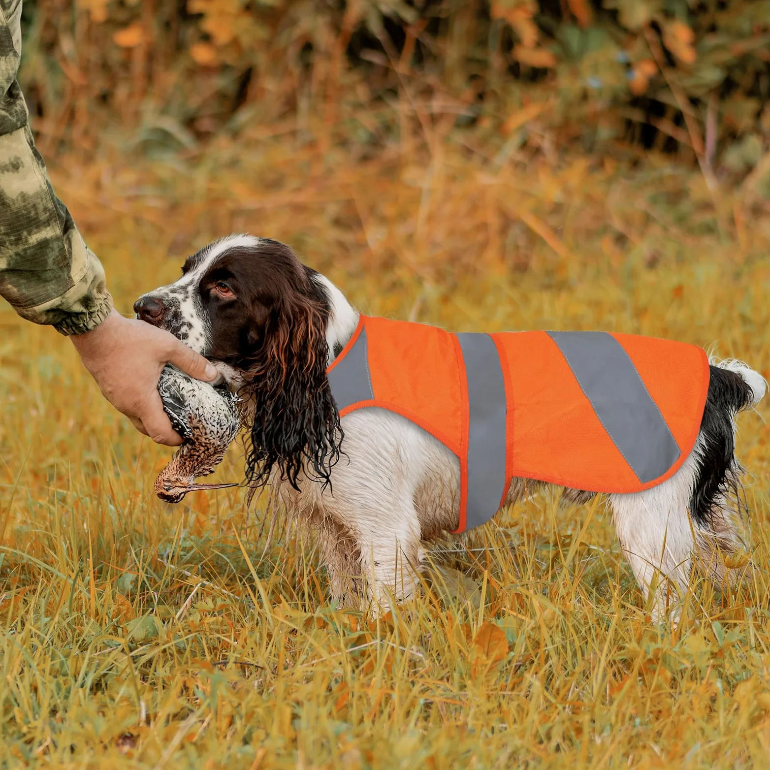 Chaleco naranja para perro, seguridad de alta visibilidad, chaleco de caza para perros, chaqueta suave ajustable, chaleco reflectante para perros pequeños, medianos y grandes