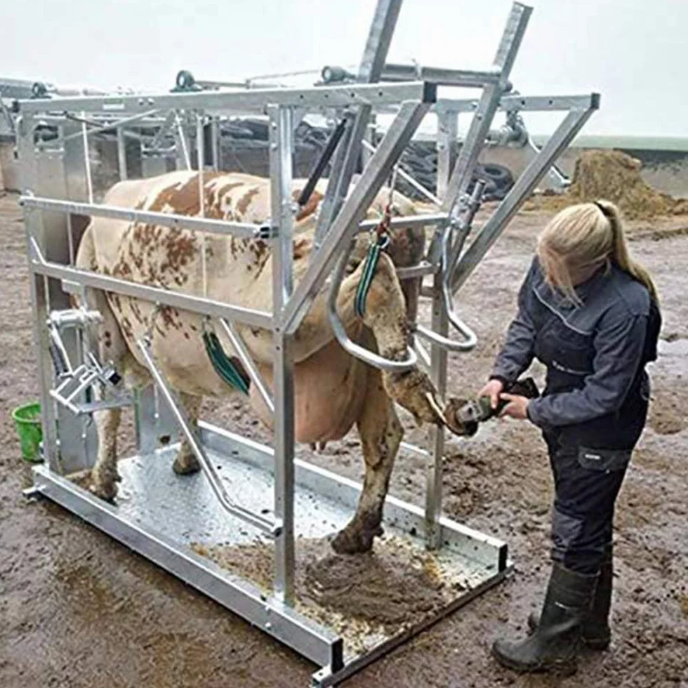 Disco para cortar pezuñas de ganado, cuchillas para cortar pezuñas, herramienta de disco para tallar madera, 6 cuchillas más afiladas, placa de disco para recortadora para caballos, vacas, cabras