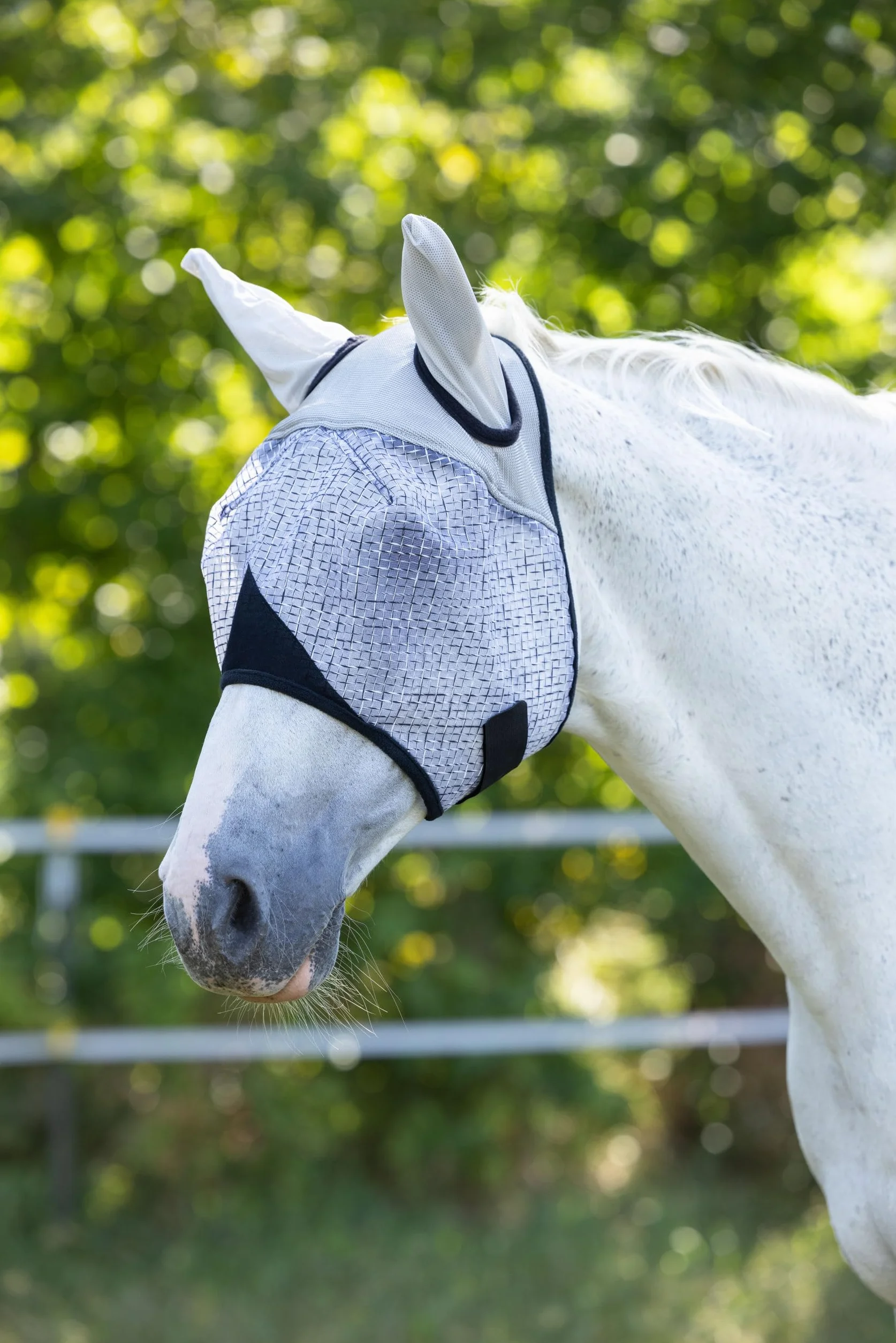 Covalliero Máscara antimoscas con protección auditiva, máscara para caballo, gris claro, full, con protección UV, relleno de vellón