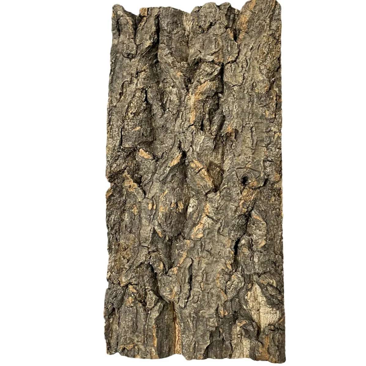 BESPORTBLE 10piezas Reptile Bark Backdrop para y Terrarios Natural De para Decoración De Peceras y Reptiles y