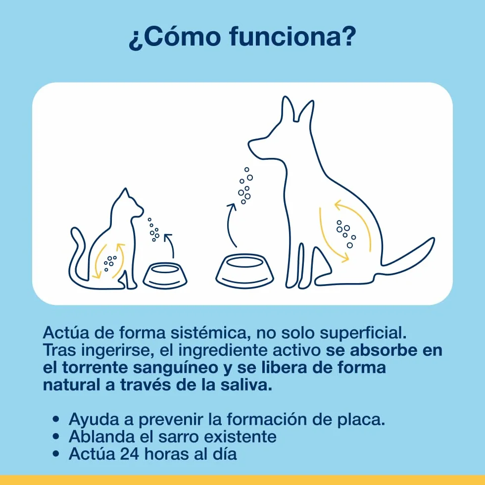 ProDen PlaqueOff Perros y Gatos en Polvo 60g, Limpieza Dental con 100% Alga Natural, Limpiador de Sarro Dental y de Placa, Elimina Eficazmente el Mal Aliento en Mascotas, Hasta 6 meses de duración