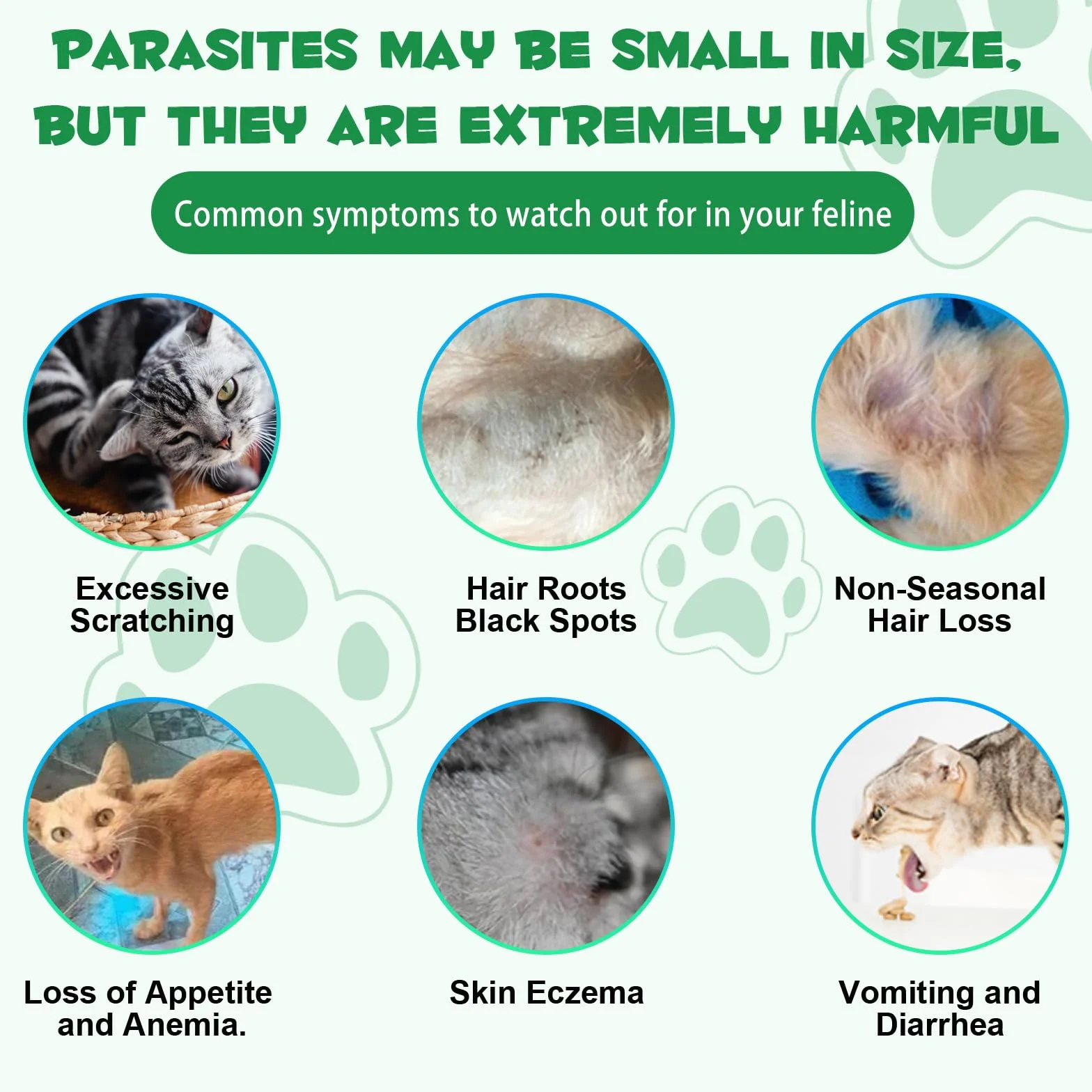 Vermífugo líquido para Gatos, Gotas vermífugas Naturales a Base de Plantas para Gatos, 100% Natural, favorece la Salud y la higiene intestinal, Mejora la digestión, refuerza la inmunidad 60 ml