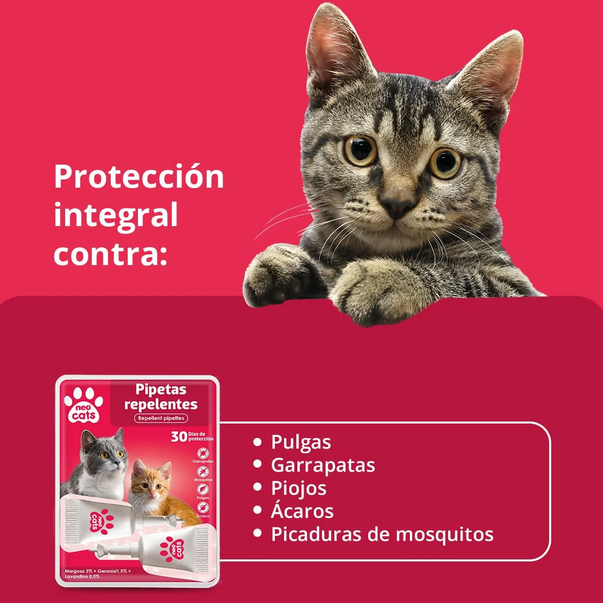 NEO CATS - Pipetas Repelente Anti-insectos para Gatos - Contra Pulgas, Garrapatas y Mosquitos - 30 días de Protección - Con Margosa, Geraniol y Lavandino - Olor Herbal - 2 unidades