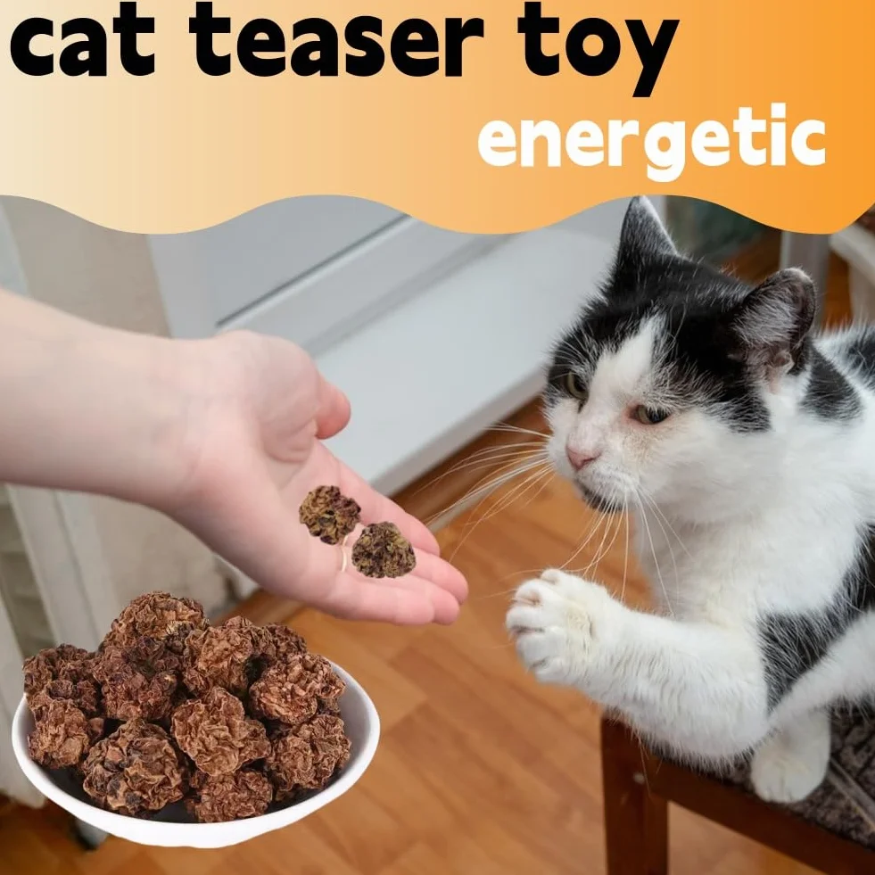 Frutas Matatabi,20pcs Juguetes para Gatos para Limpieza de Dentición,Cat Teething Toys,Snack Gatera para Limpiar Dientes