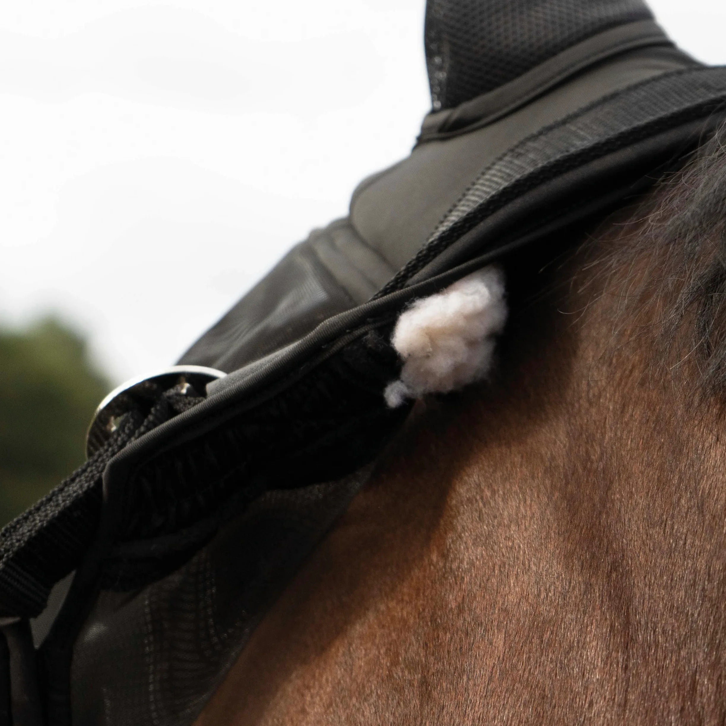 Busse Fast - Mosquitera, Unisex adulto, Pony, negro
