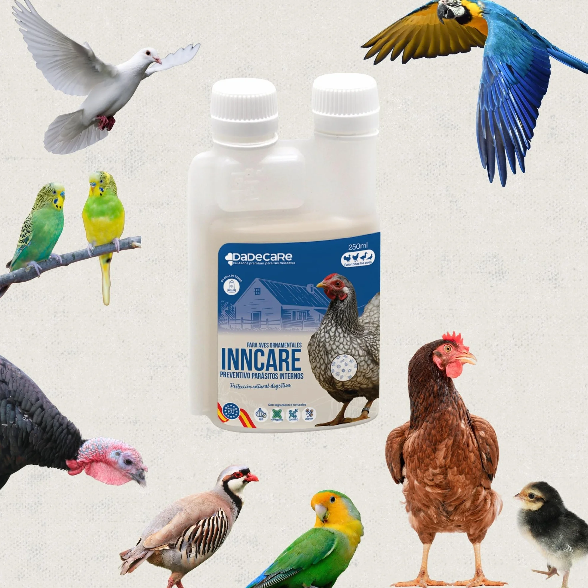Preventivo Parasitos Internos Natural 250 ml - Gallinas, Aves de Corral y Exóticas - Previene y Trata Problemas digestivos - Fórmula Natural - Extracto de Ajo y Oregano - Inncare