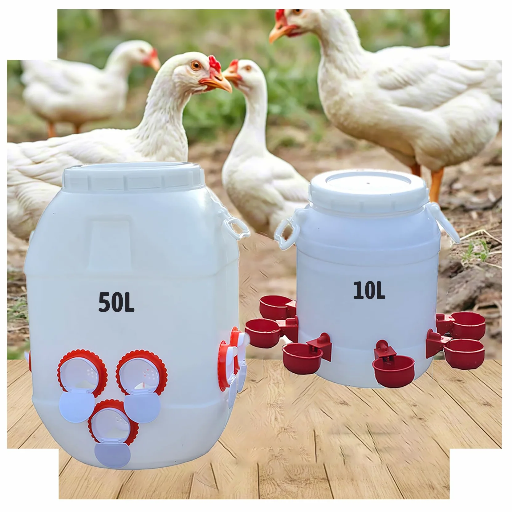 Comedero Automático 50L y Bebedero 10L para Gallinas/Patos - Diseño HDPE Antidesperdicio con Tapa Bloqueable, Sistema de Alimentación Inteligente para Granjas(Size:50L+10L)