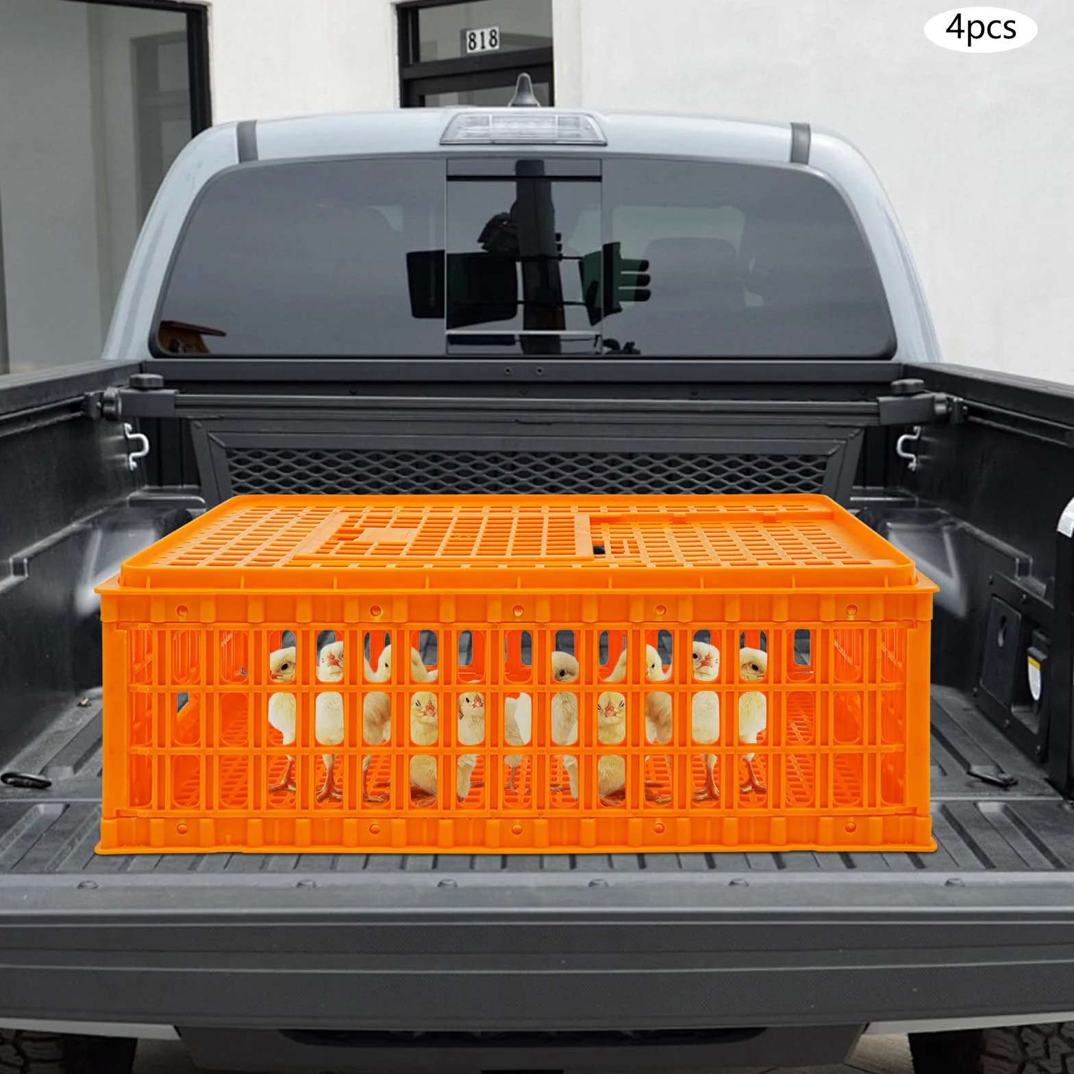 4 unidades de transporte para aves de corral, jaula de transporte de pollo con puerta corredera y asas de transporte, cesta para aves de corral, pollo, pájaro, pato, ganso, capacidad de carga de 200