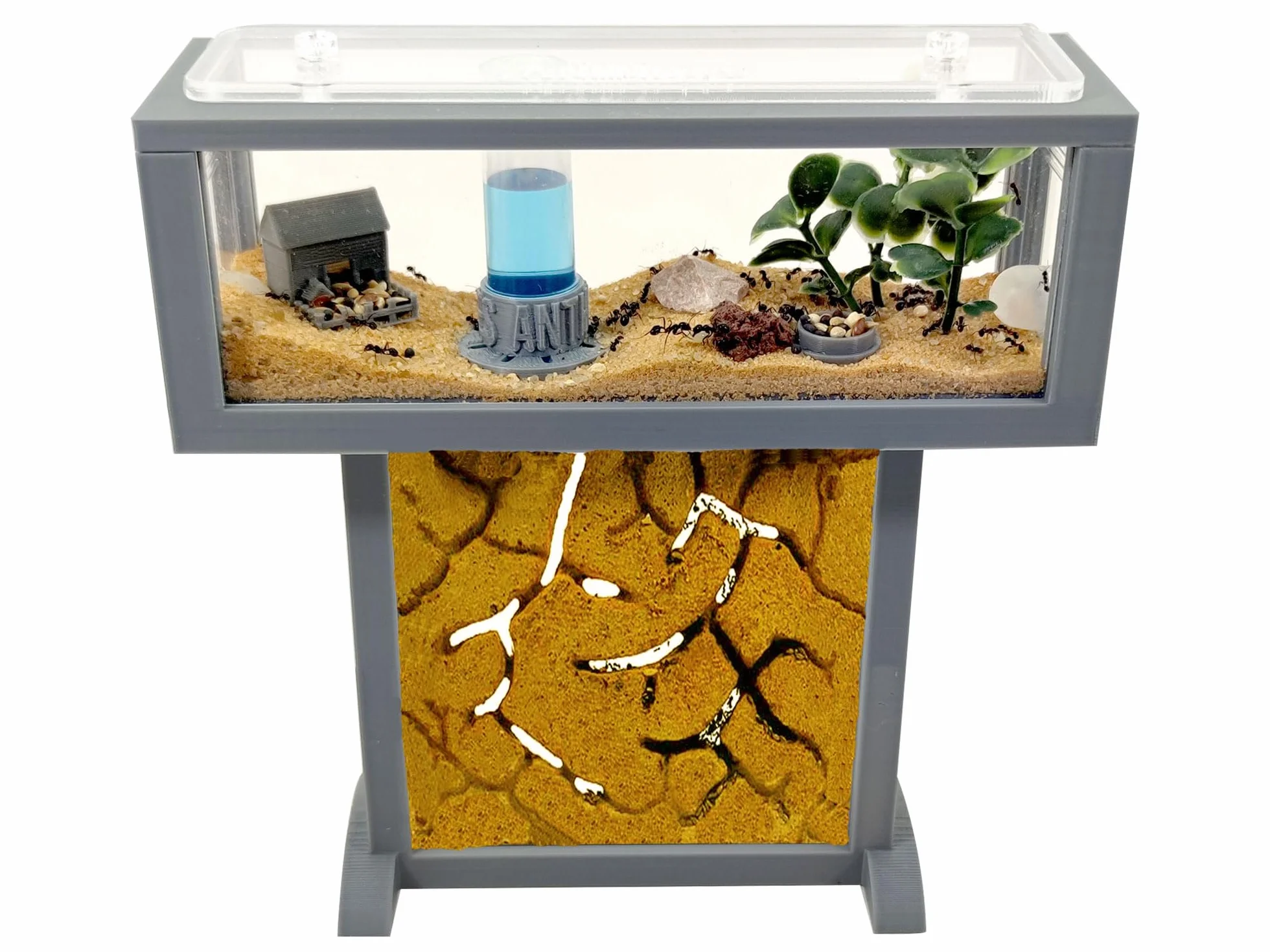 Hormiguero Kit- T- Mini de Arena Natural 15x5x16 - Hormigas Gratis Incluidas┃de 20-30 Hormigas