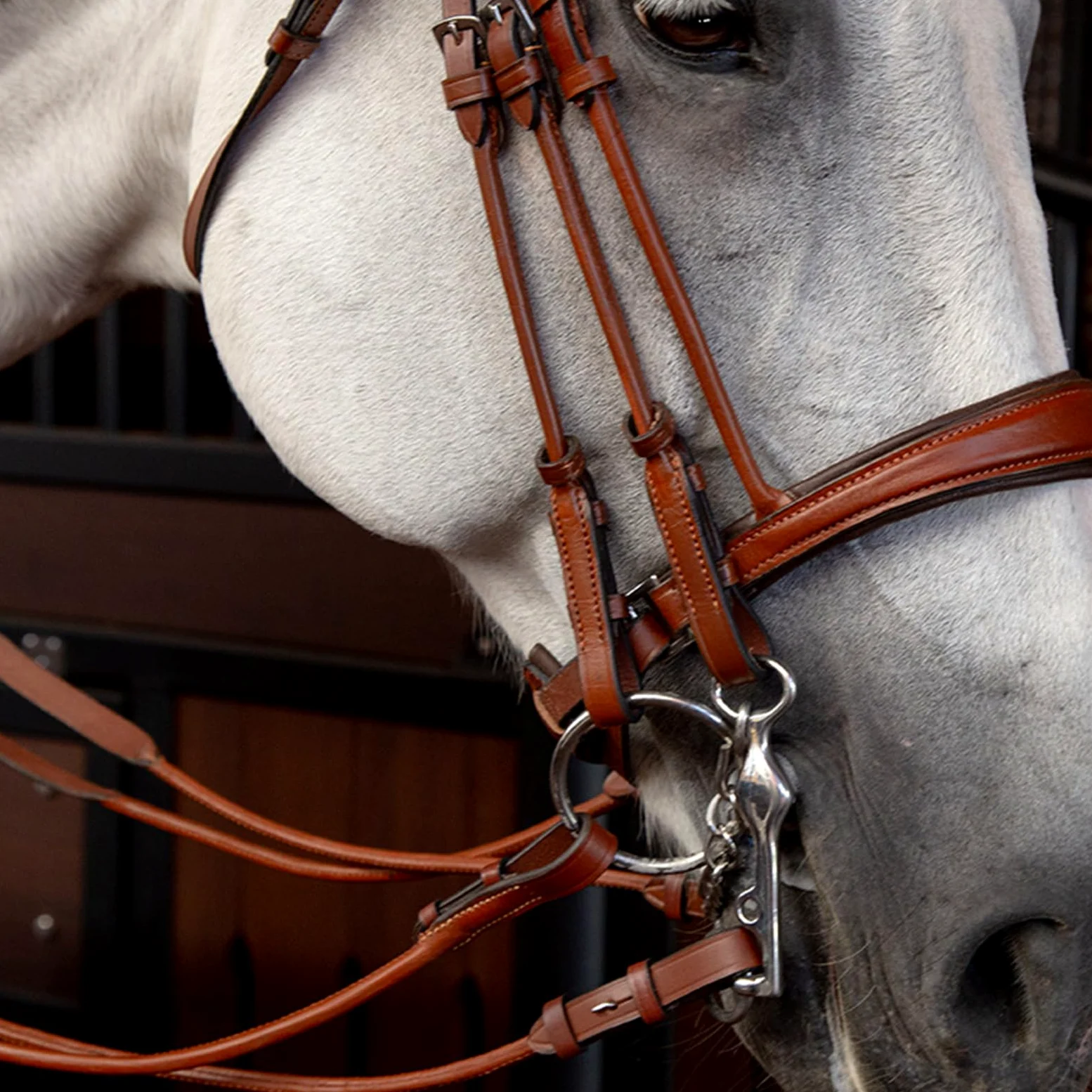 Cabestro de caballo y cuerda de plomo, material de cuero vacuno con diamantes de imitación para uso ecuestre